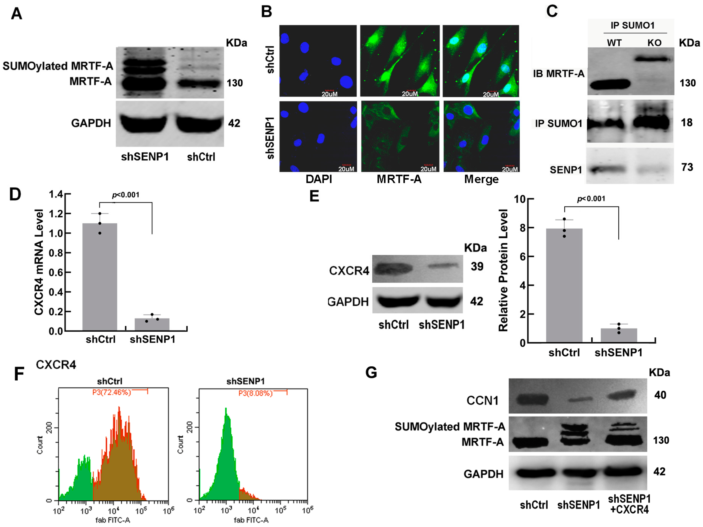 Biomedicines 11 00914 g003