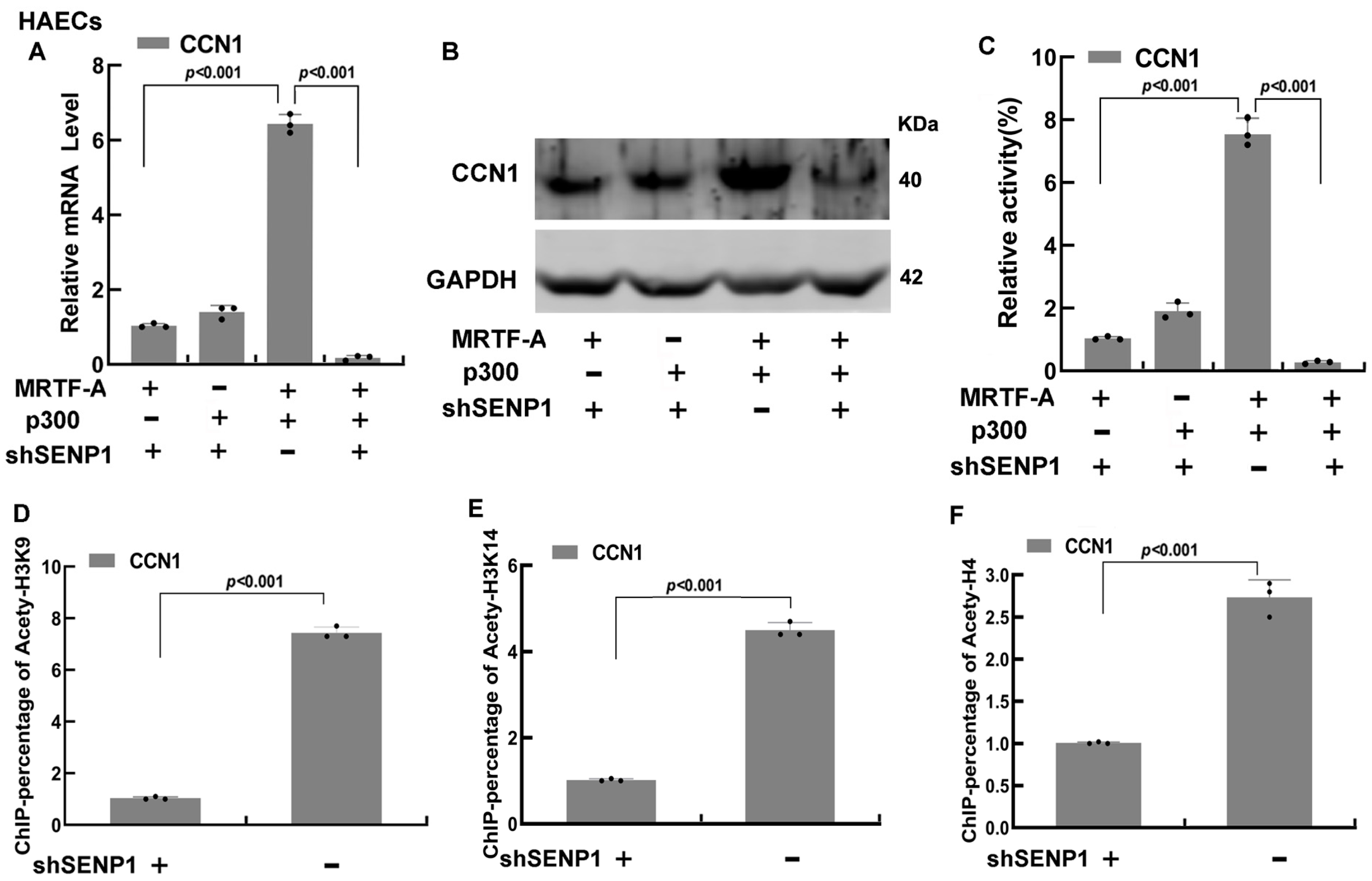 Biomedicines 11 00914 g005