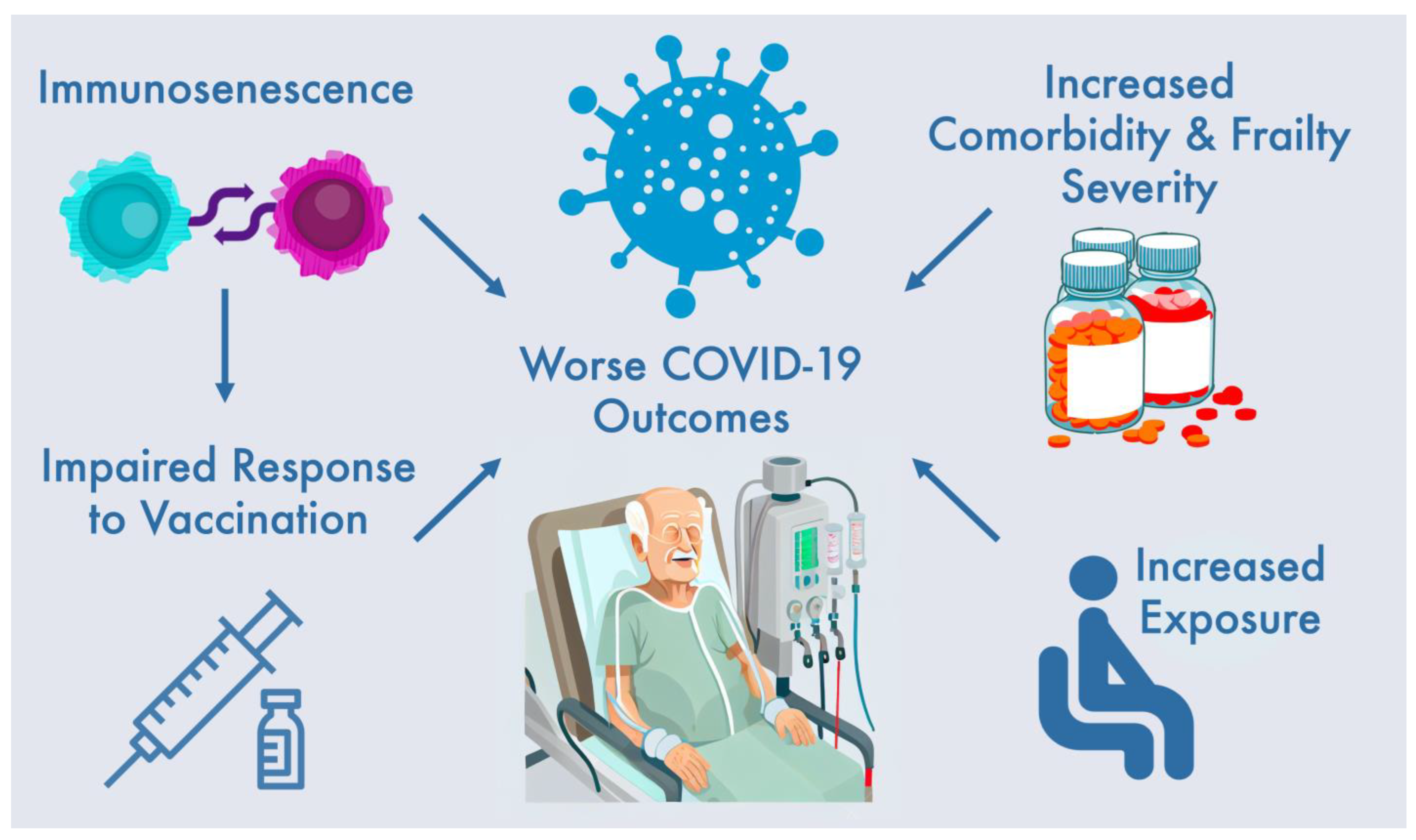 Biomedicines 11 00926 g001