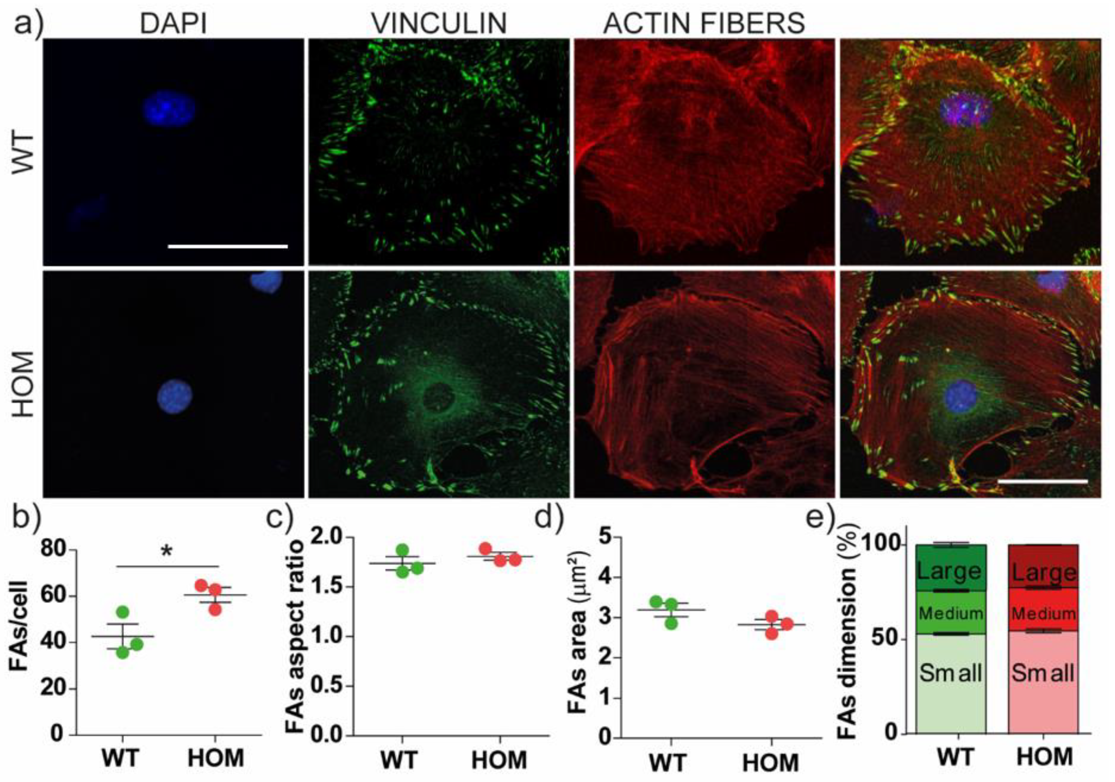 Biomedicines 11 00927 g003