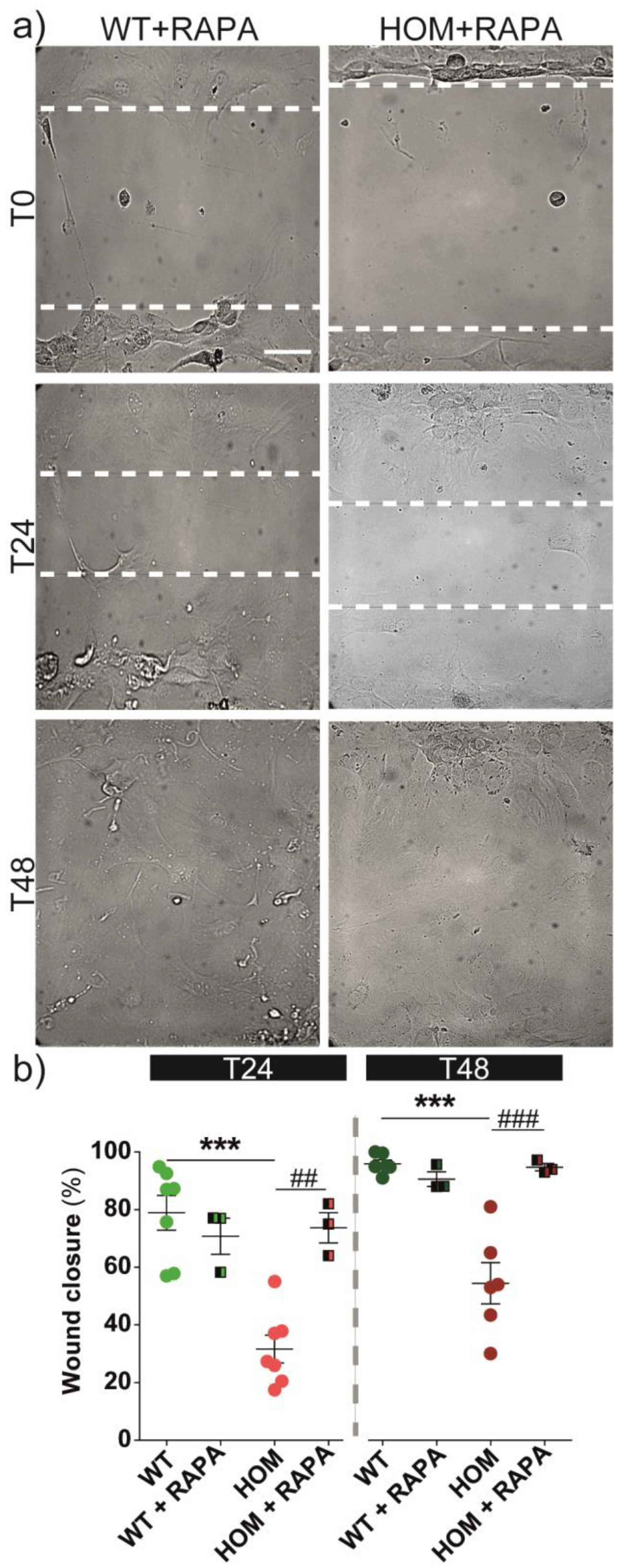 Biomedicines 11 00927 g007