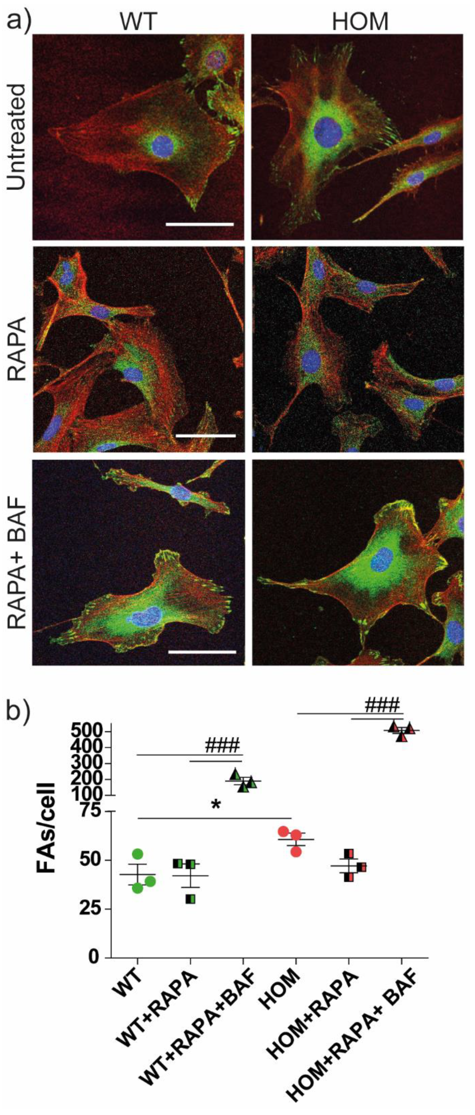 Biomedicines 11 00927 g008