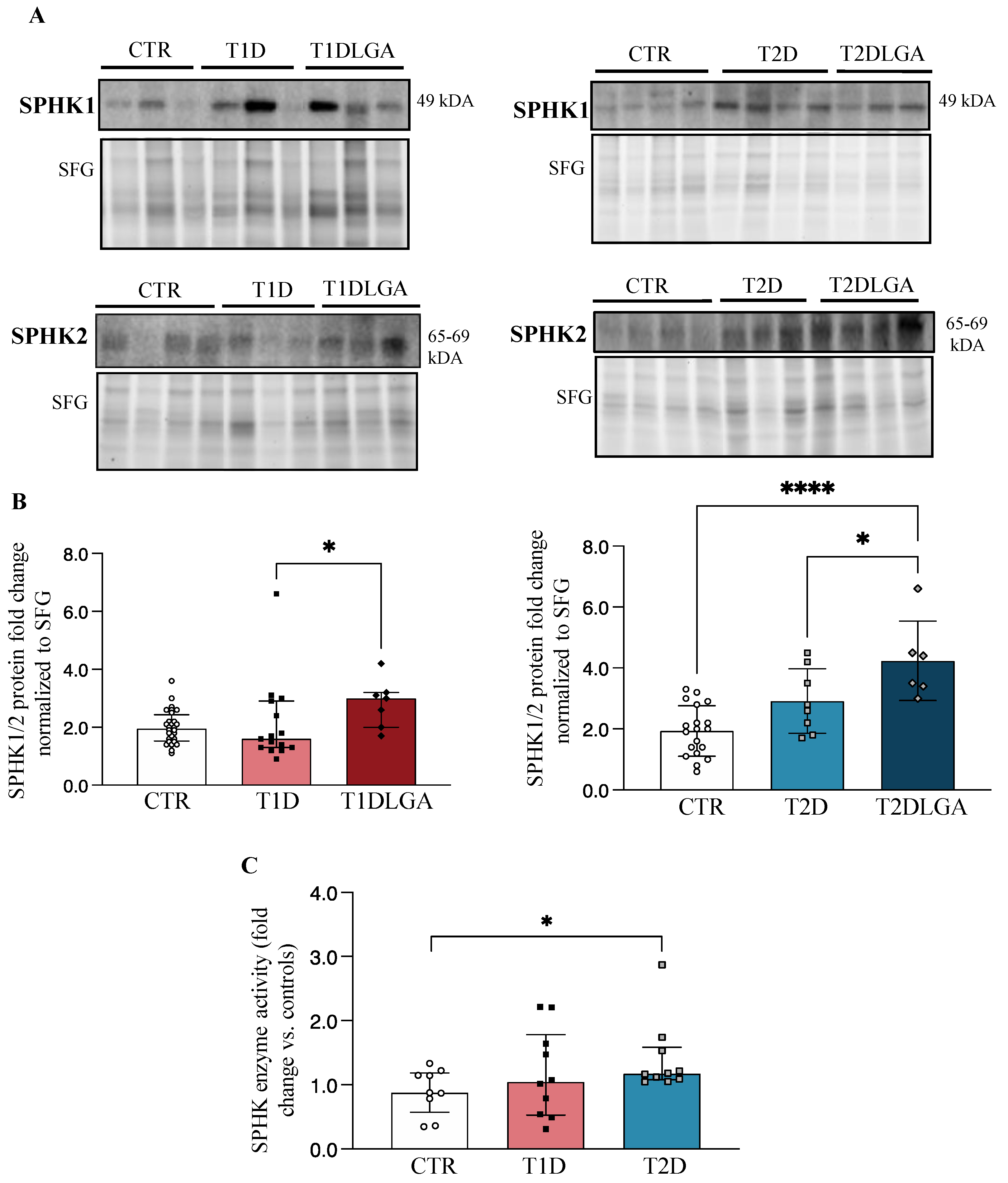 Biomedicines 11 00932 g002 Biomedicines 11 00932 g002