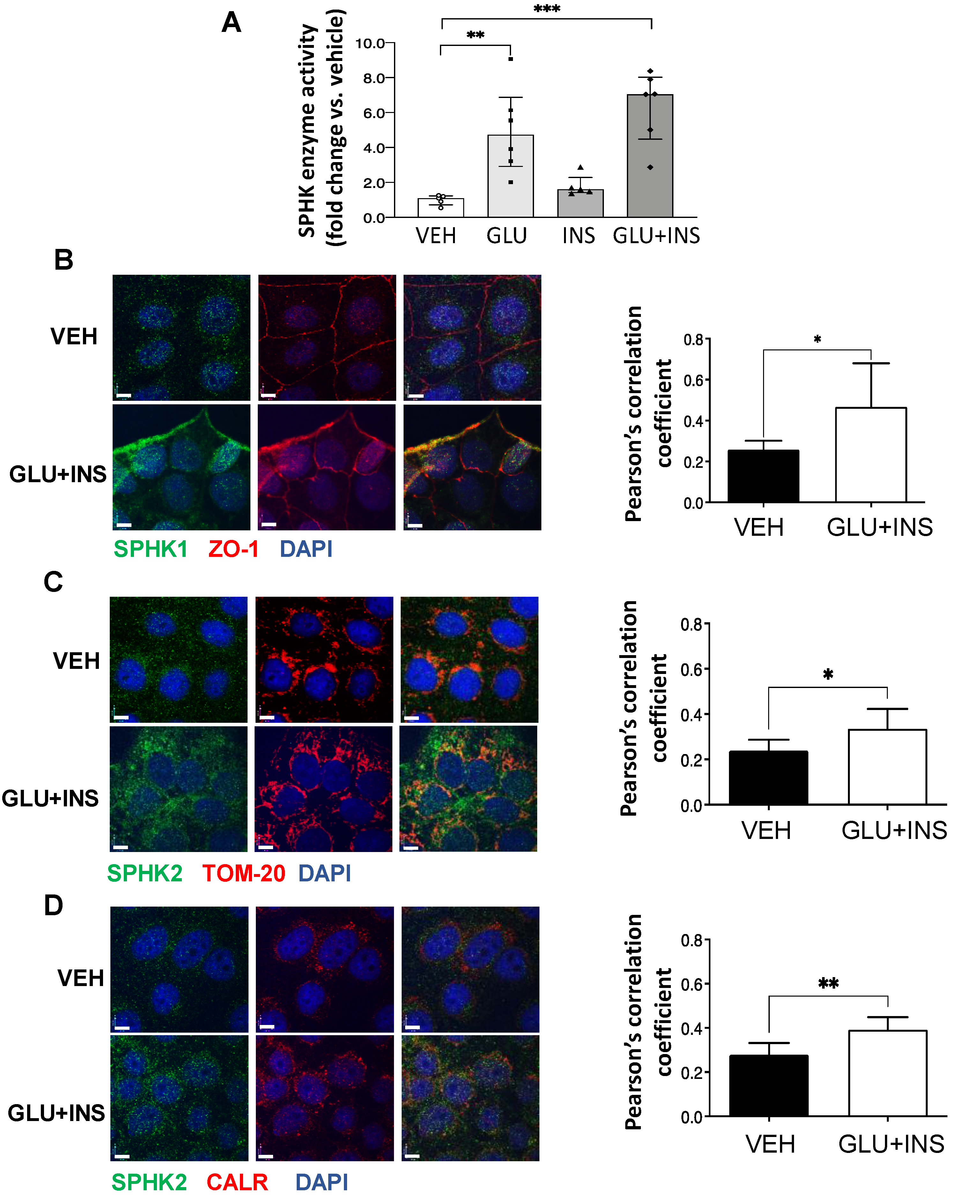 Biomedicines 11 00932 g003 Biomedicines 11 00932 g003