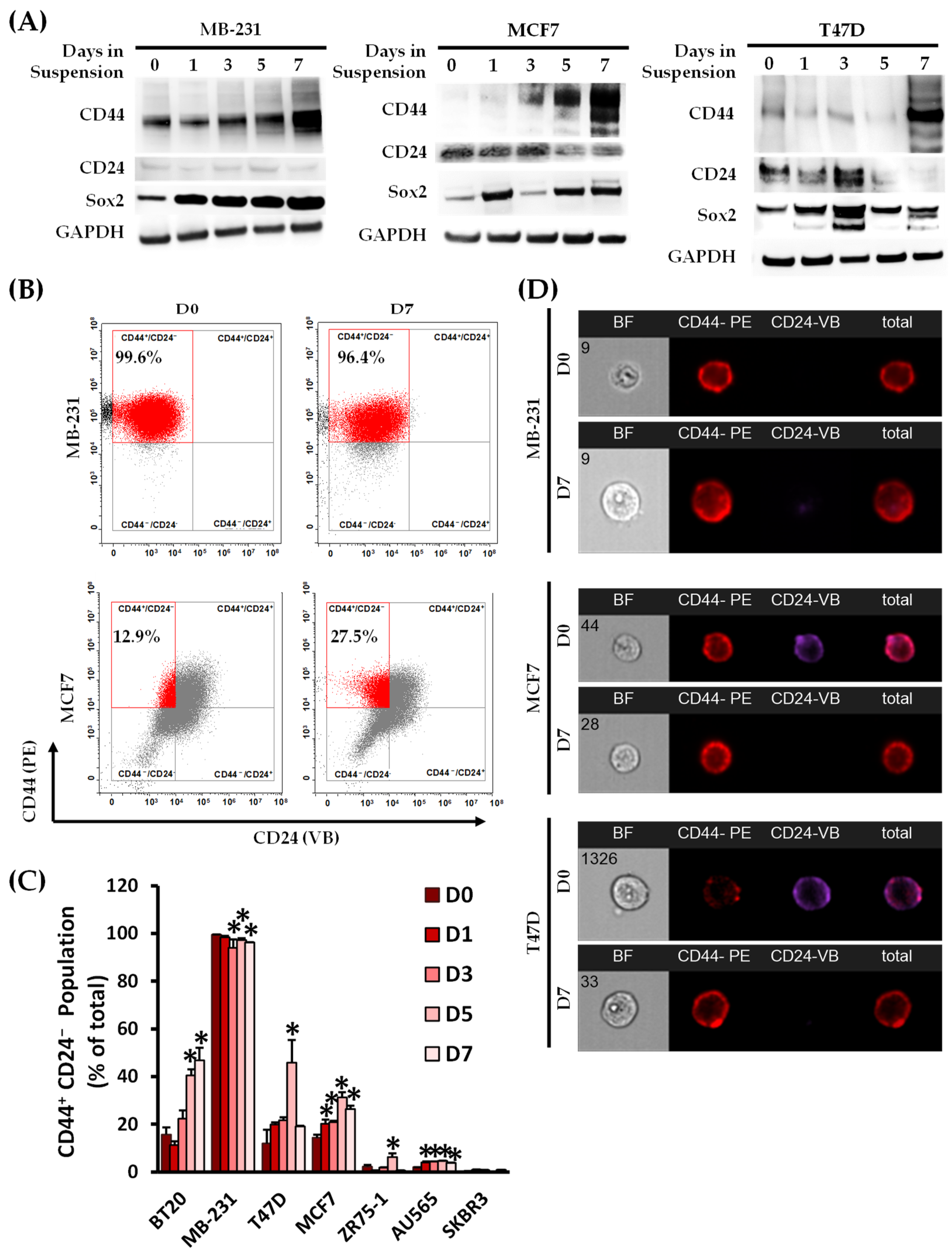 Biomedicines 11 00934 g001 Biomedicines 11 00934 g001