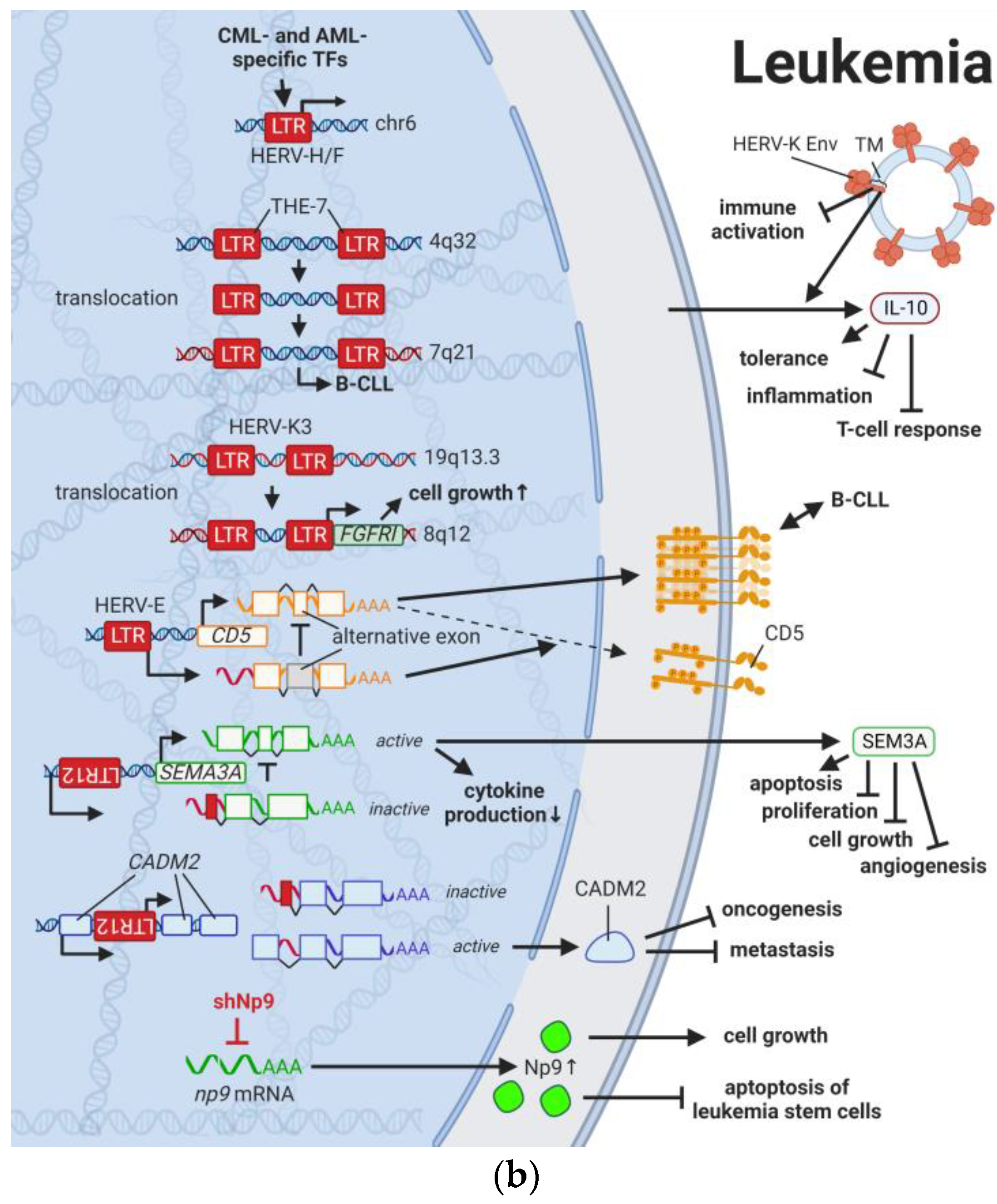 Biomedicines 11 00936 g003b Biomedicines 11 00936 g003b