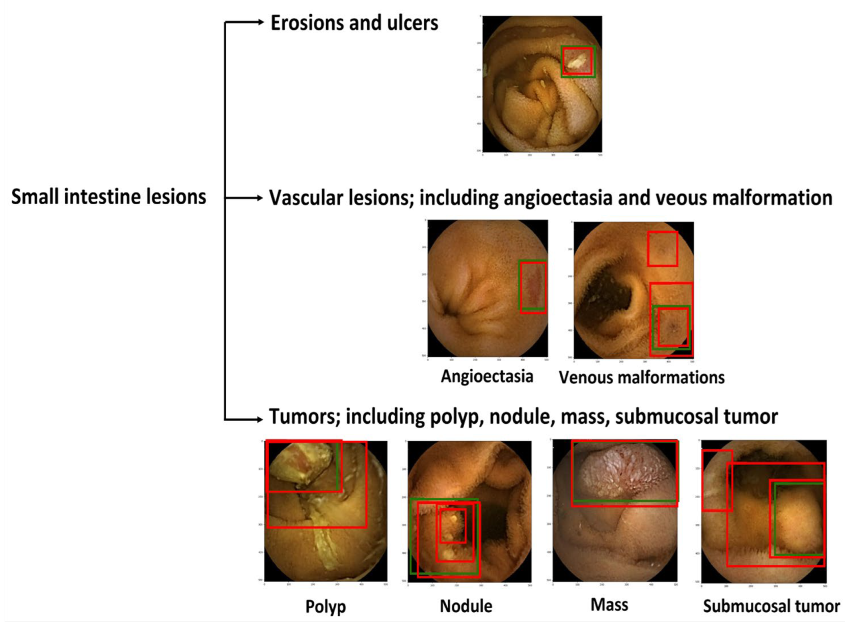 Biomedicines 11 00942 g001 Biomedicines 11 00942 g001