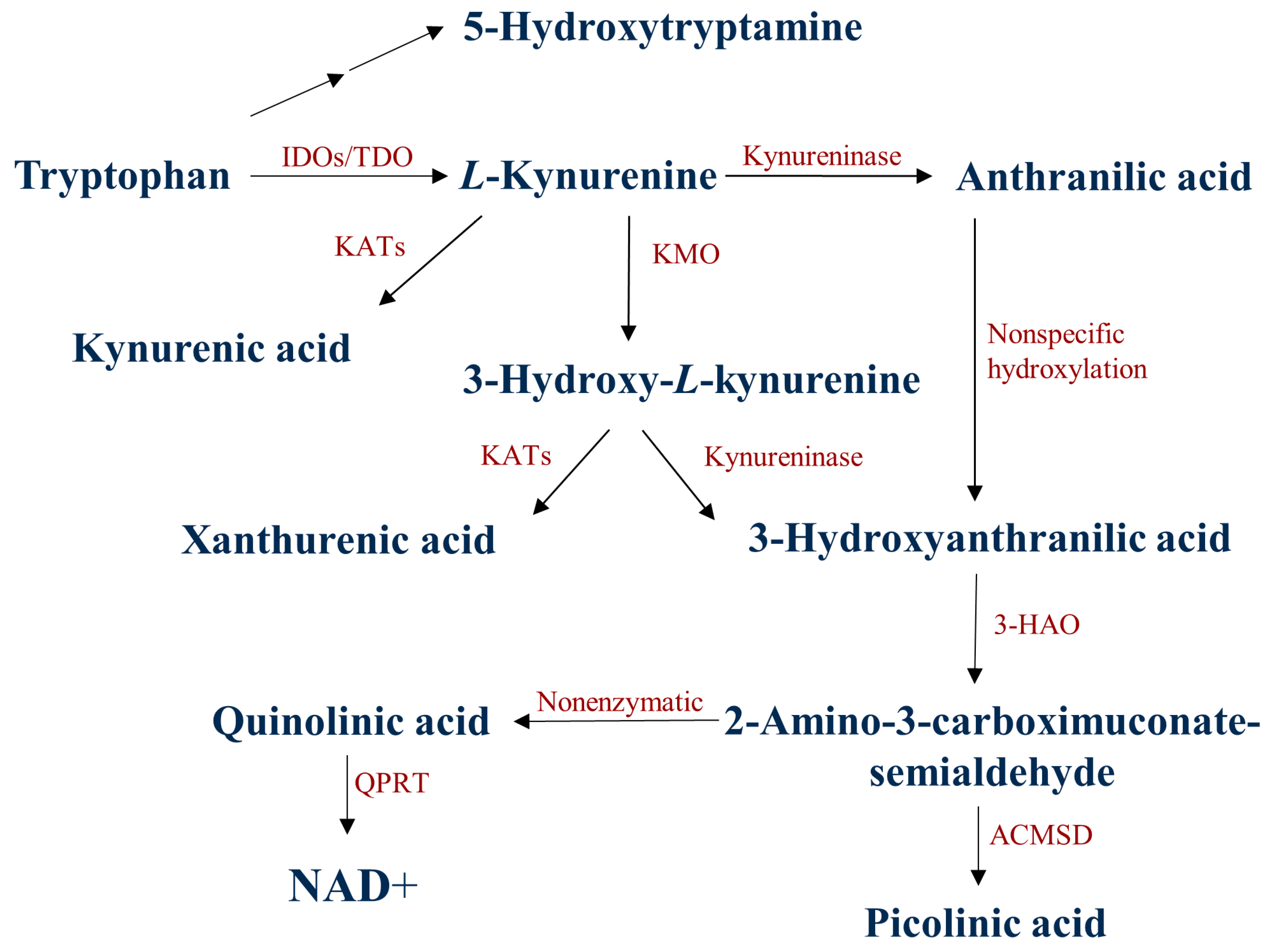 Biomedicines 11 00945 g001 Biomedicines 11 00945 g001