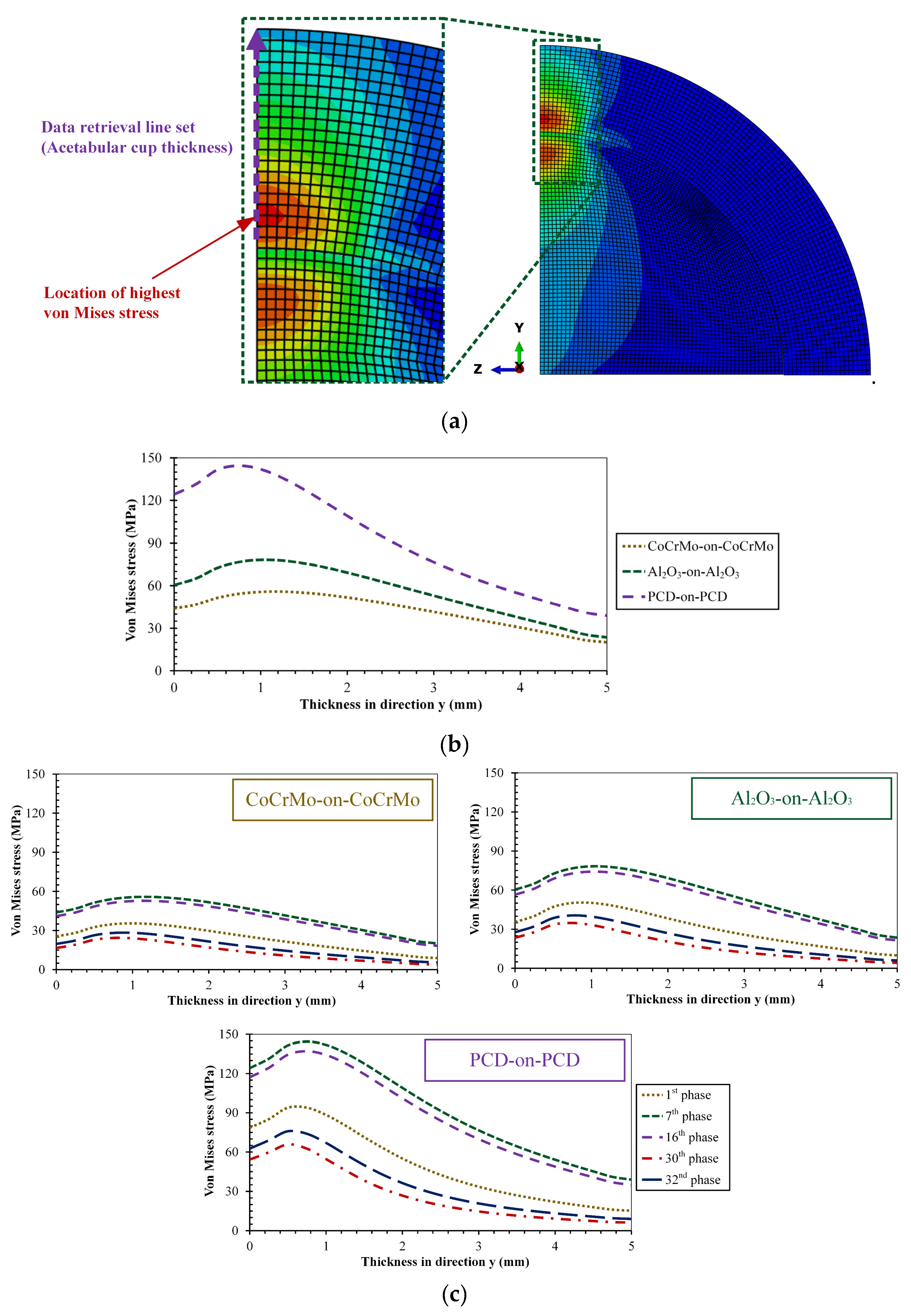 Biomedicines 11 00951 g008