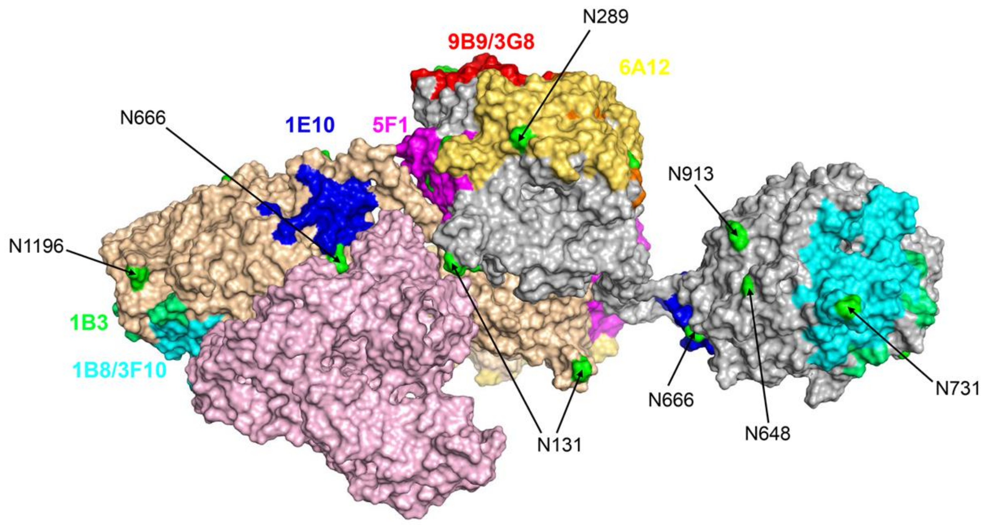 Biomedicines 11 00953 g005 Biomedicines 11 00953 g005