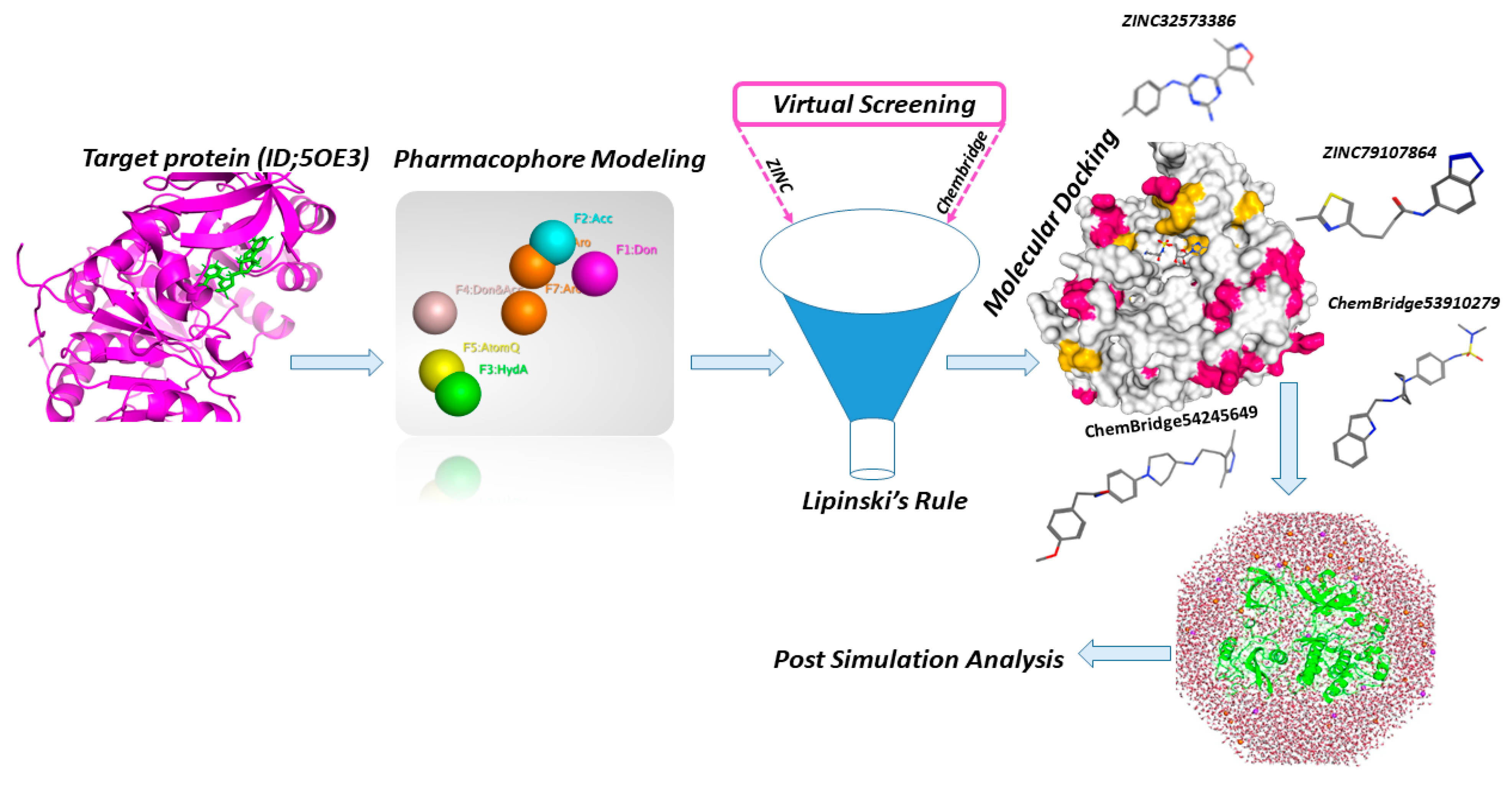 Biomedicines 11 00961 g002