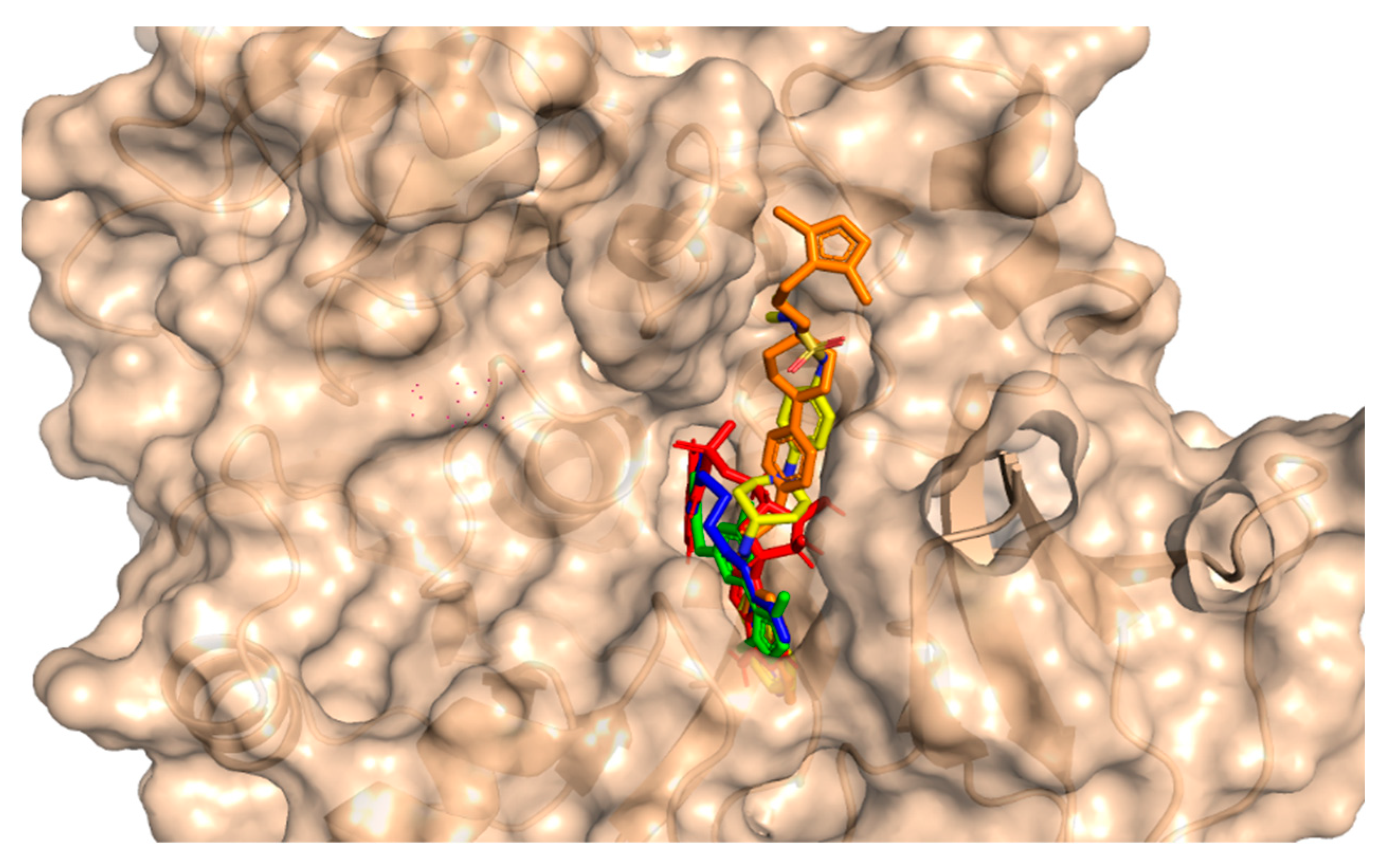 Biomedicines 11 00961 g004