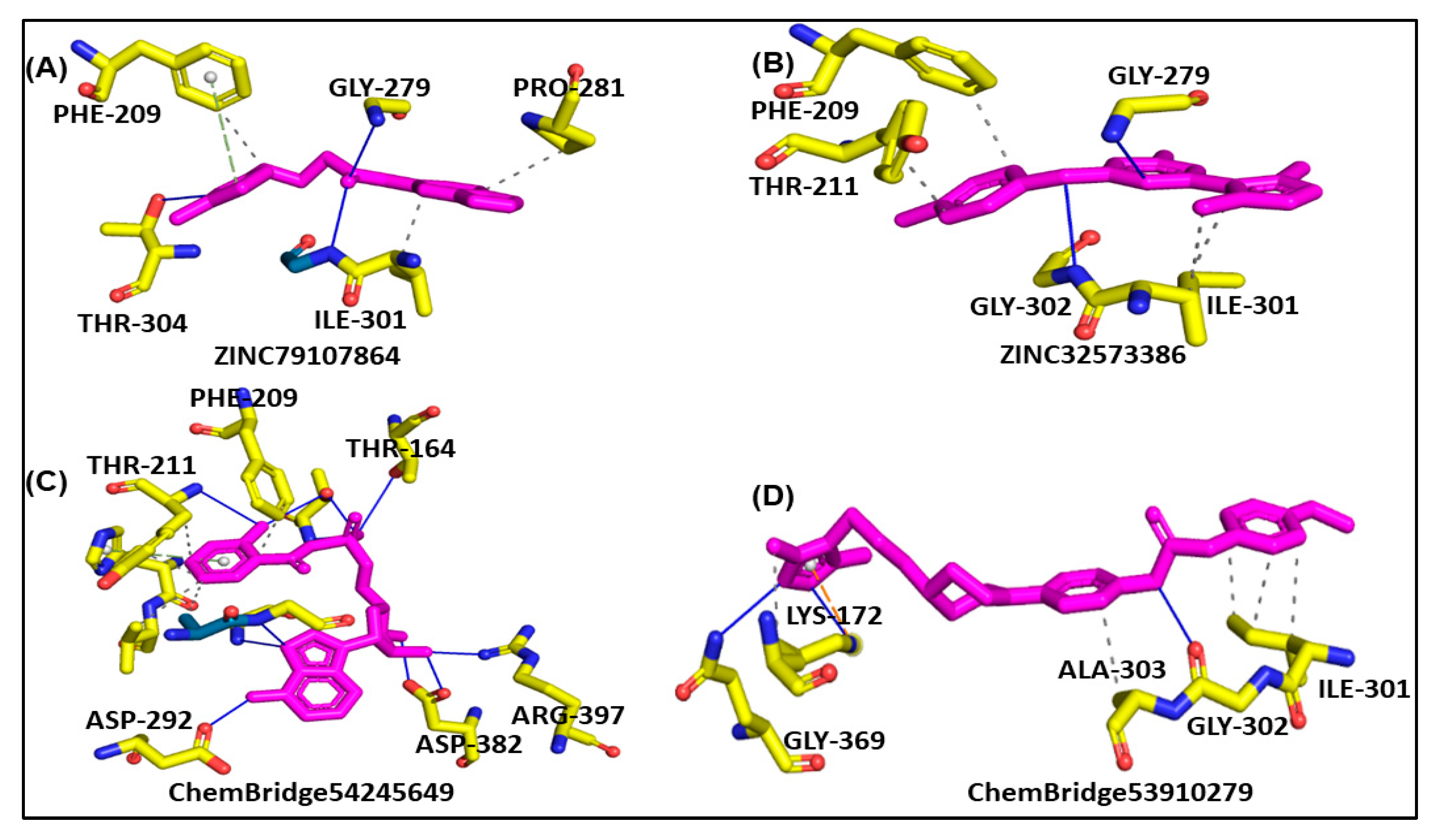 Biomedicines 11 00961 g005