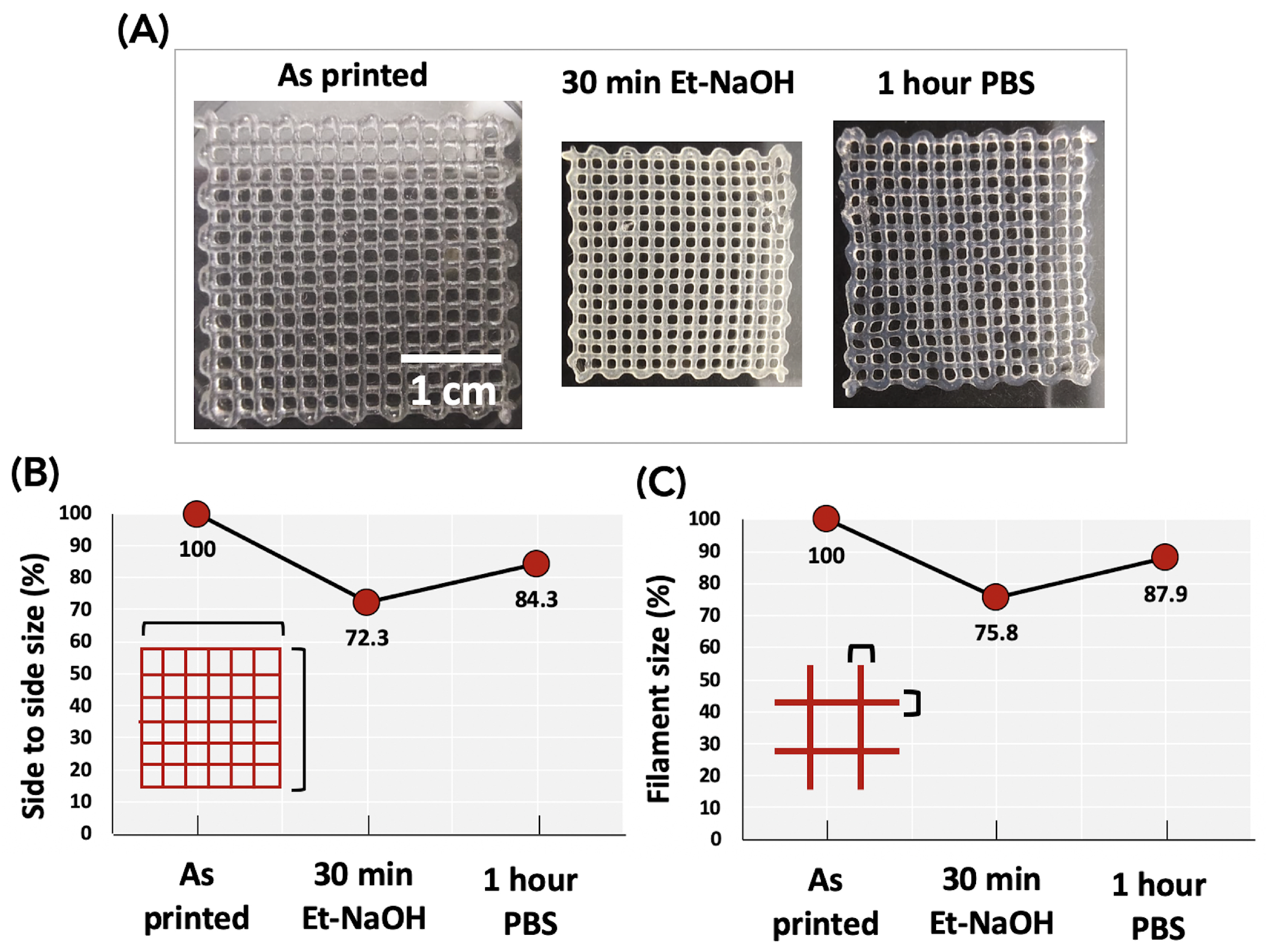 Biomedicines 11 00963 g003