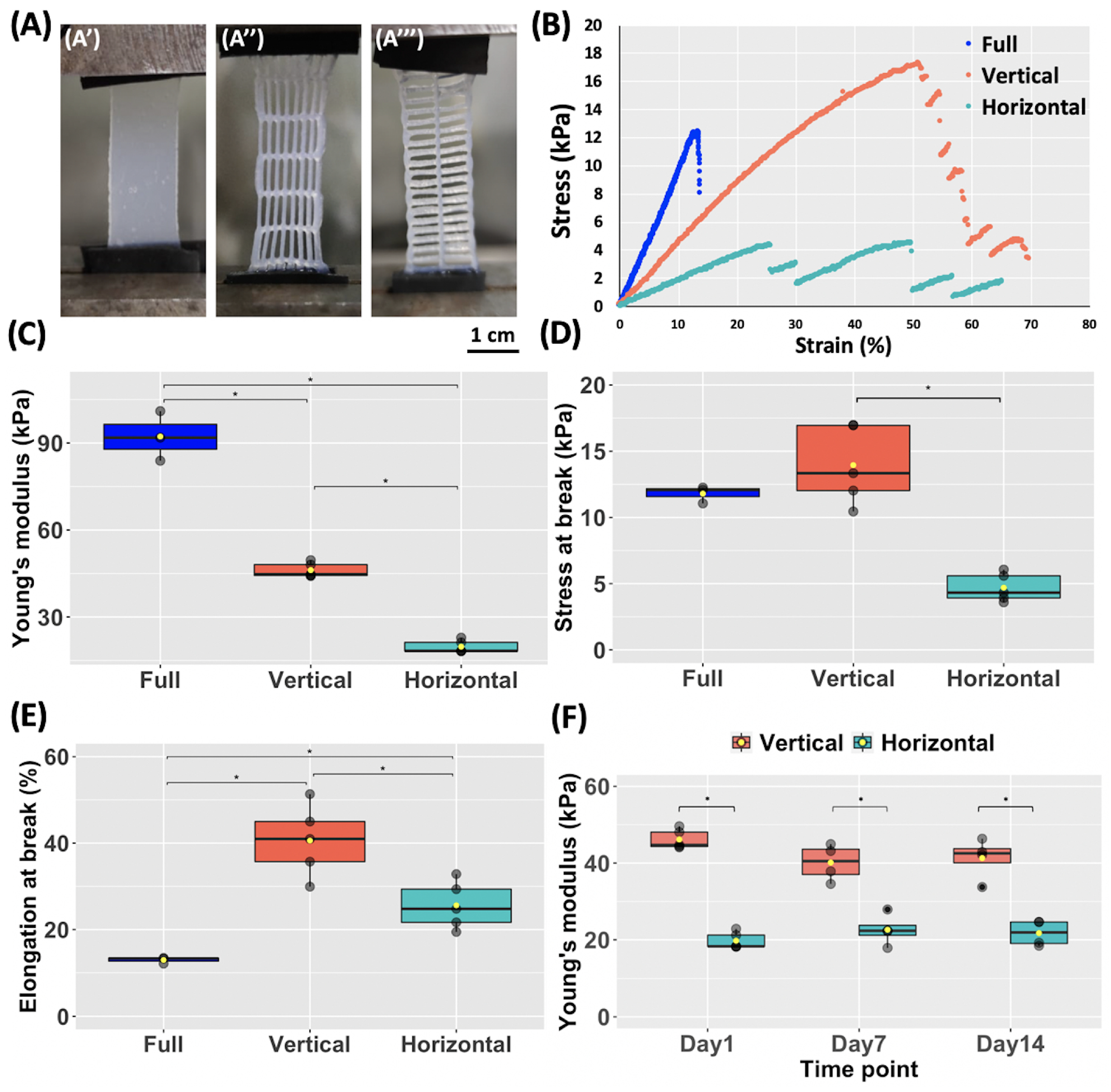 Biomedicines 11 00963 g004