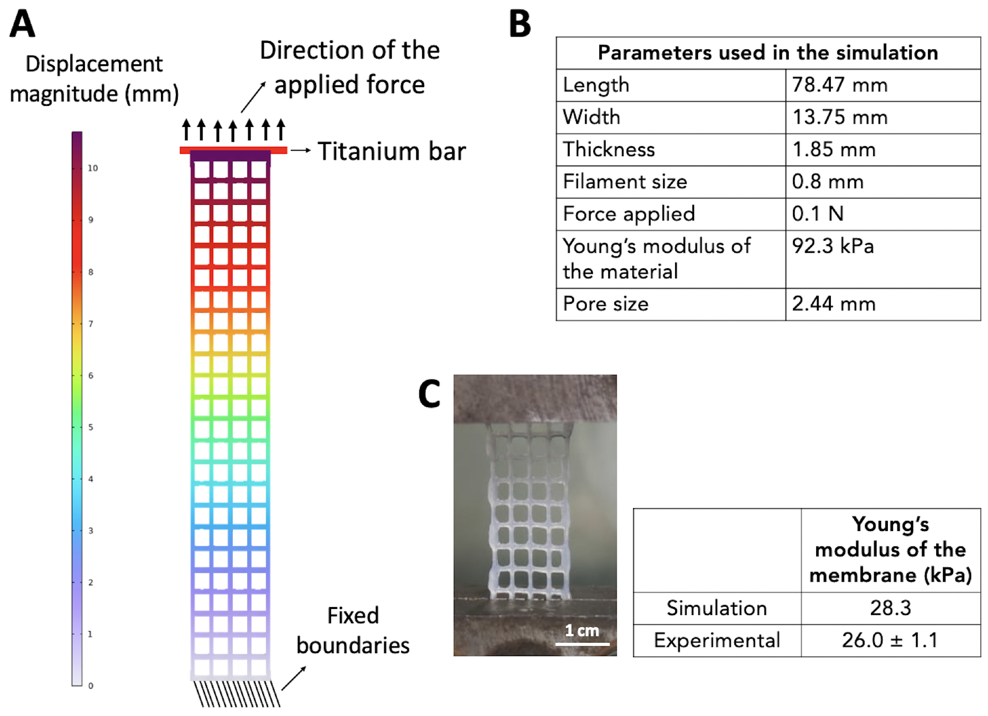 Biomedicines 11 00963 g006