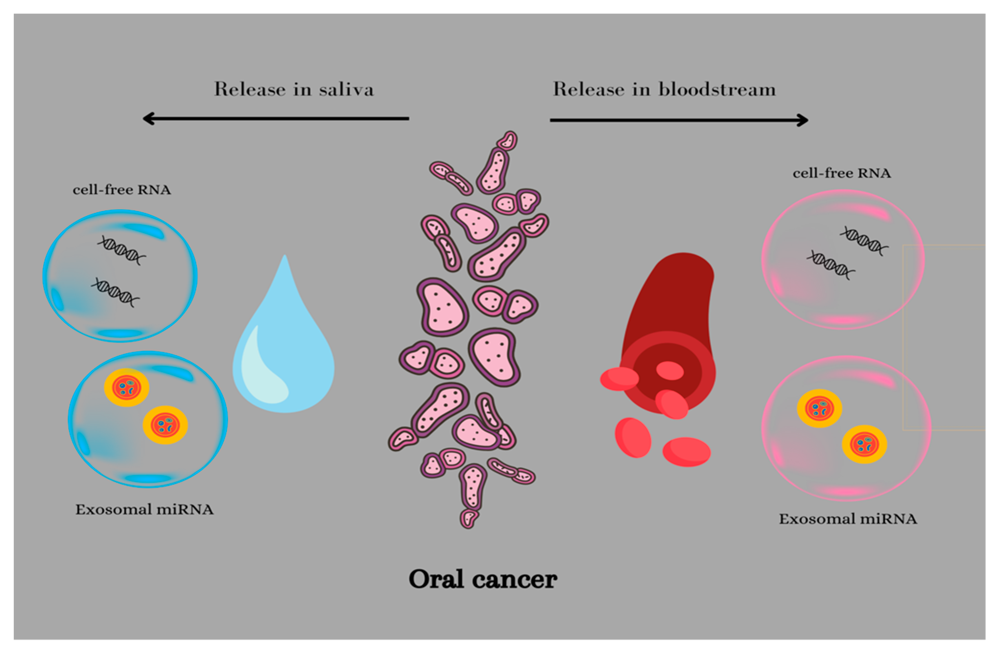 Biomedicines 11 00965 g002 Biomedicines 11 00965 g002