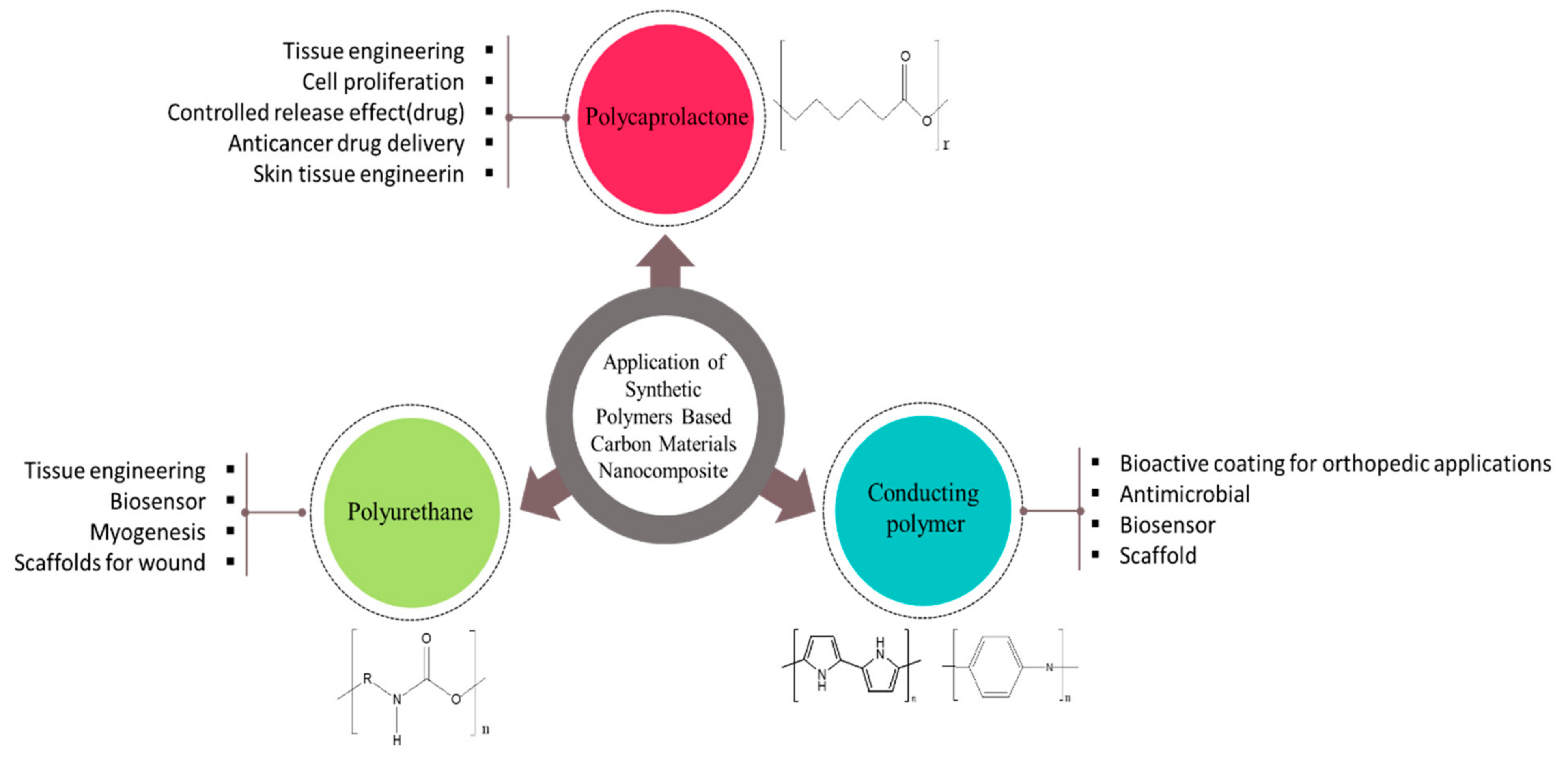 Biomedicines 11 00967 g001