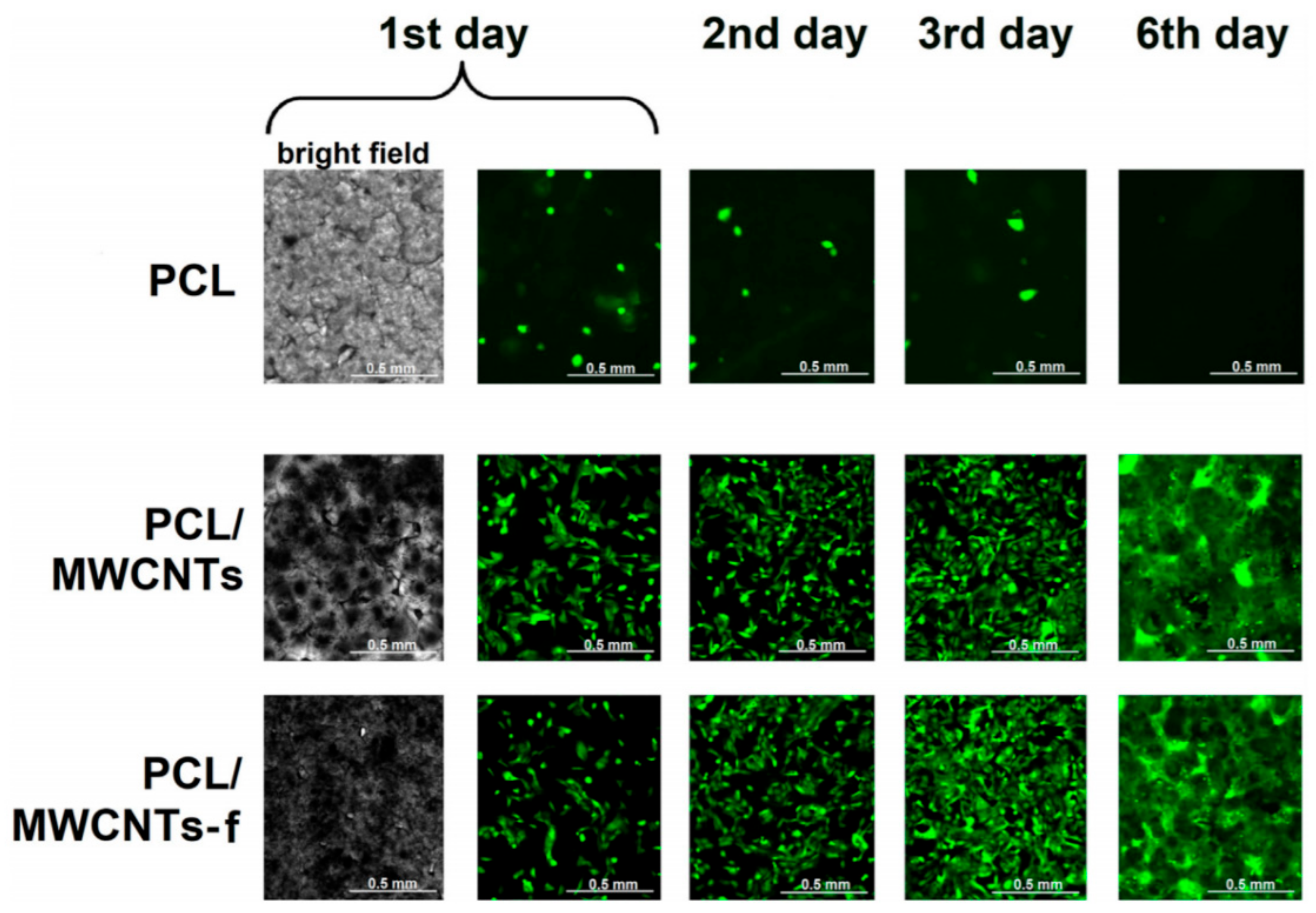 Biomedicines 11 00967 g002