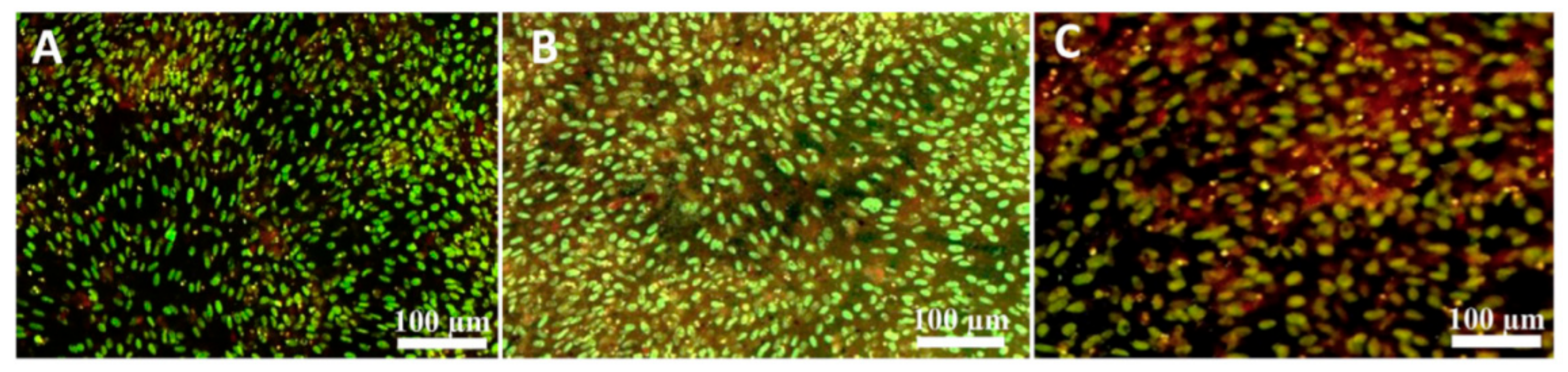 Biomedicines 11 00967 g003