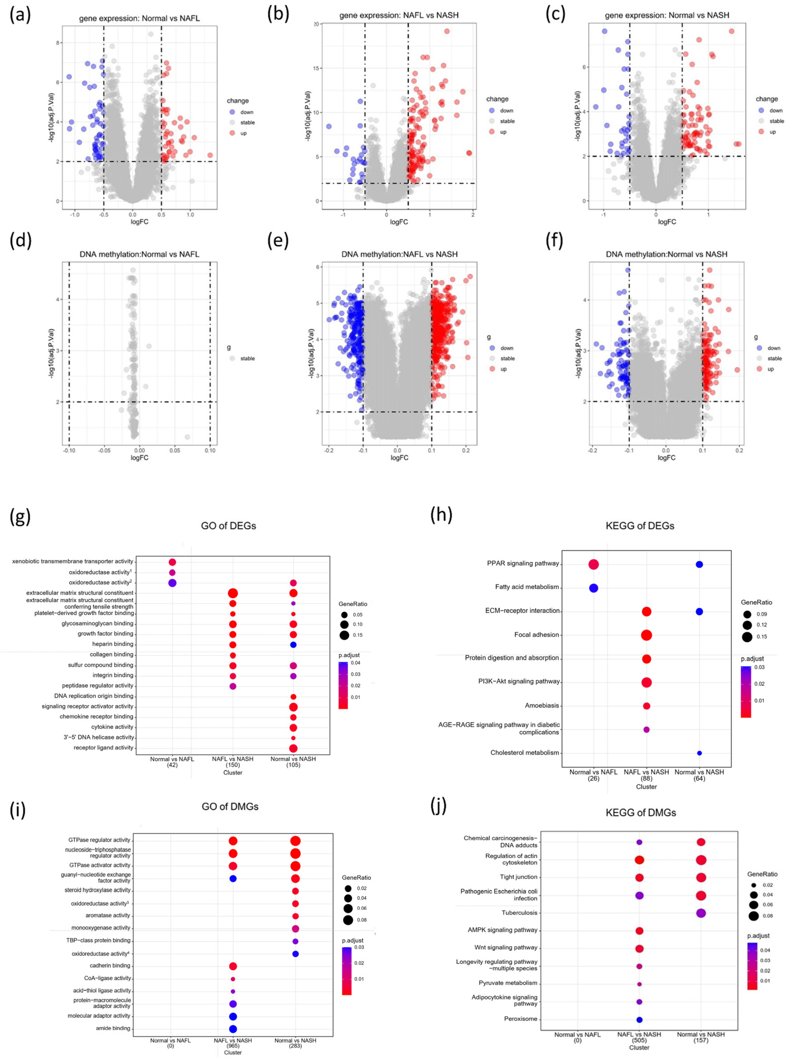 Biomedicines 11 00970 g002 Biomedicines 11 00970 g002