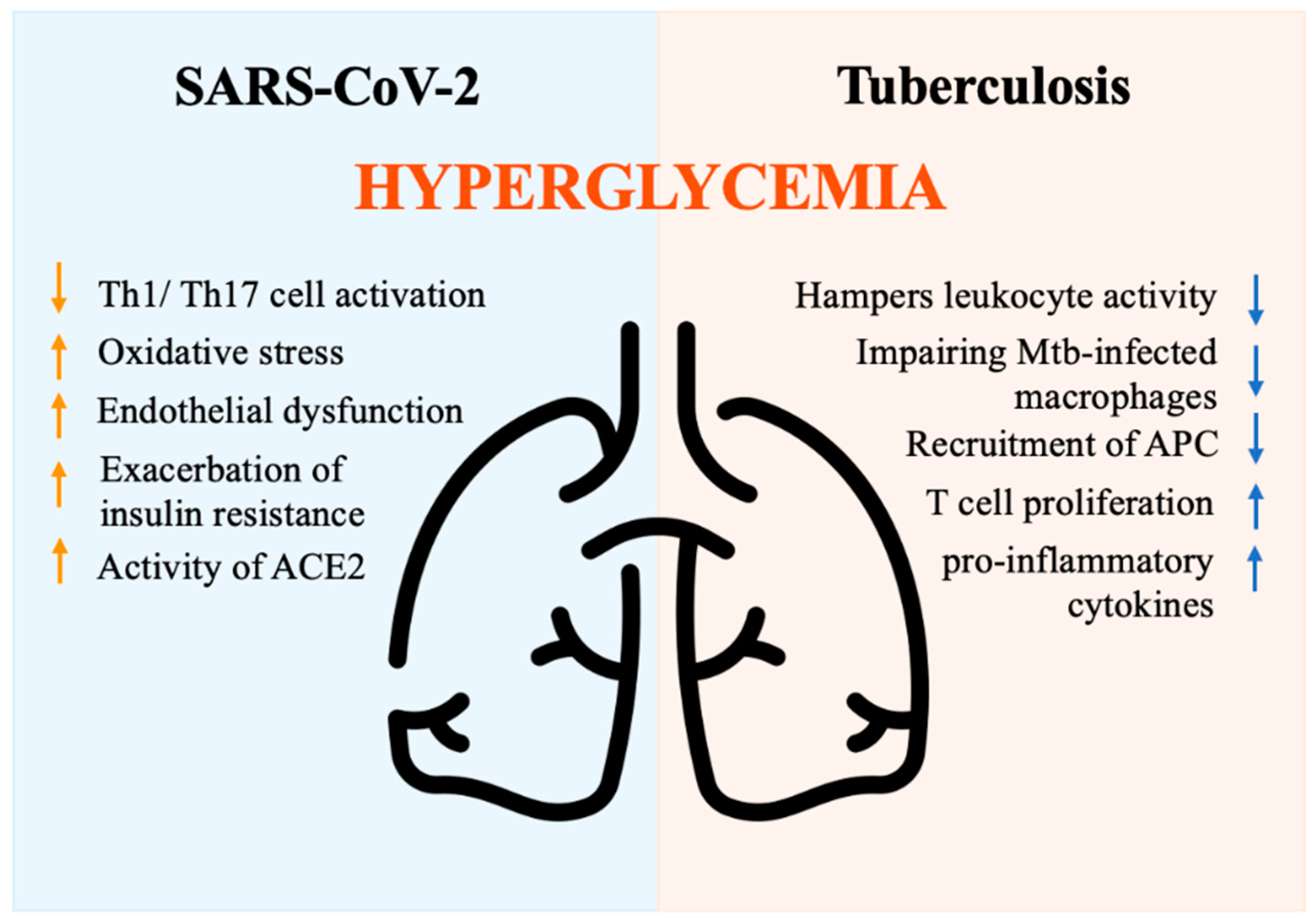 Biomedicines 11 00971 g004