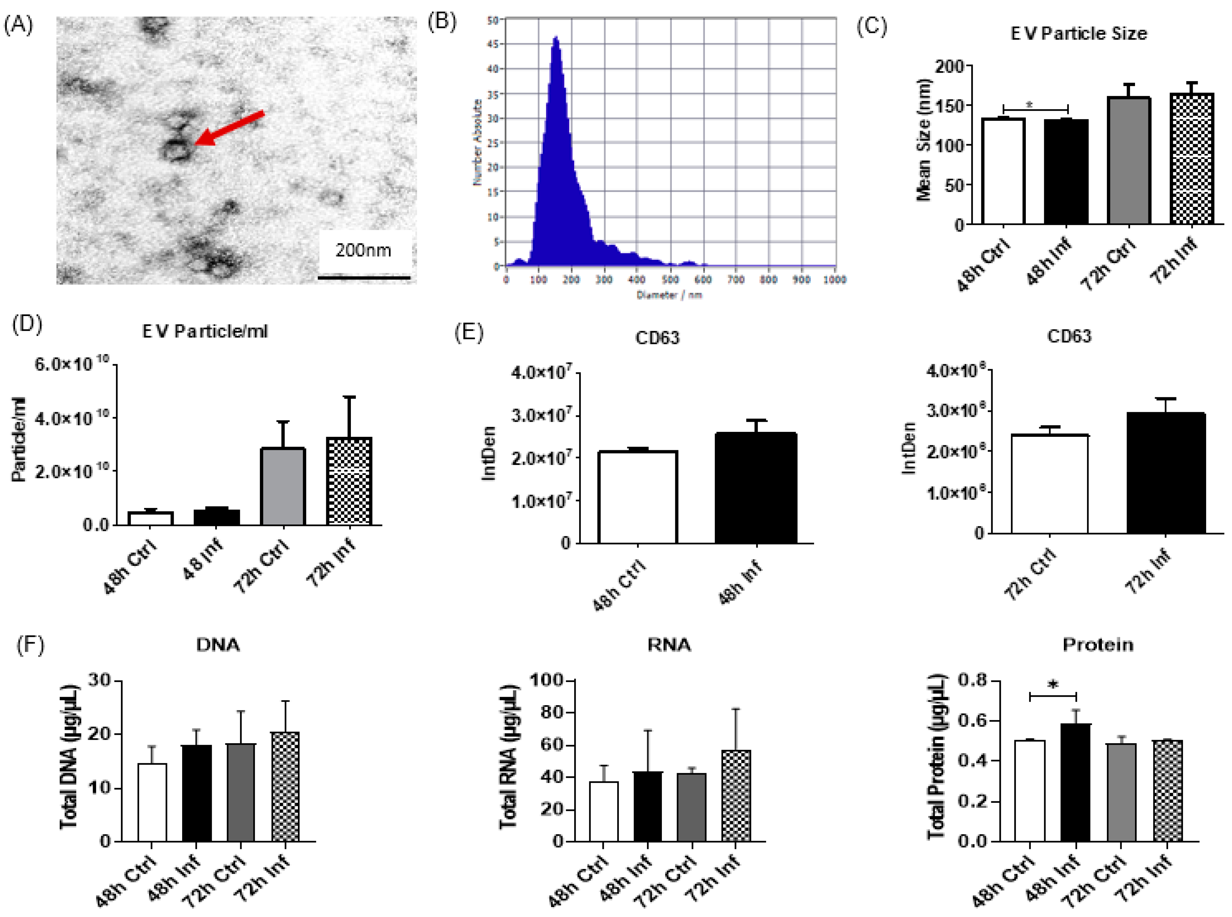 Biomedicines 11 00976 g002