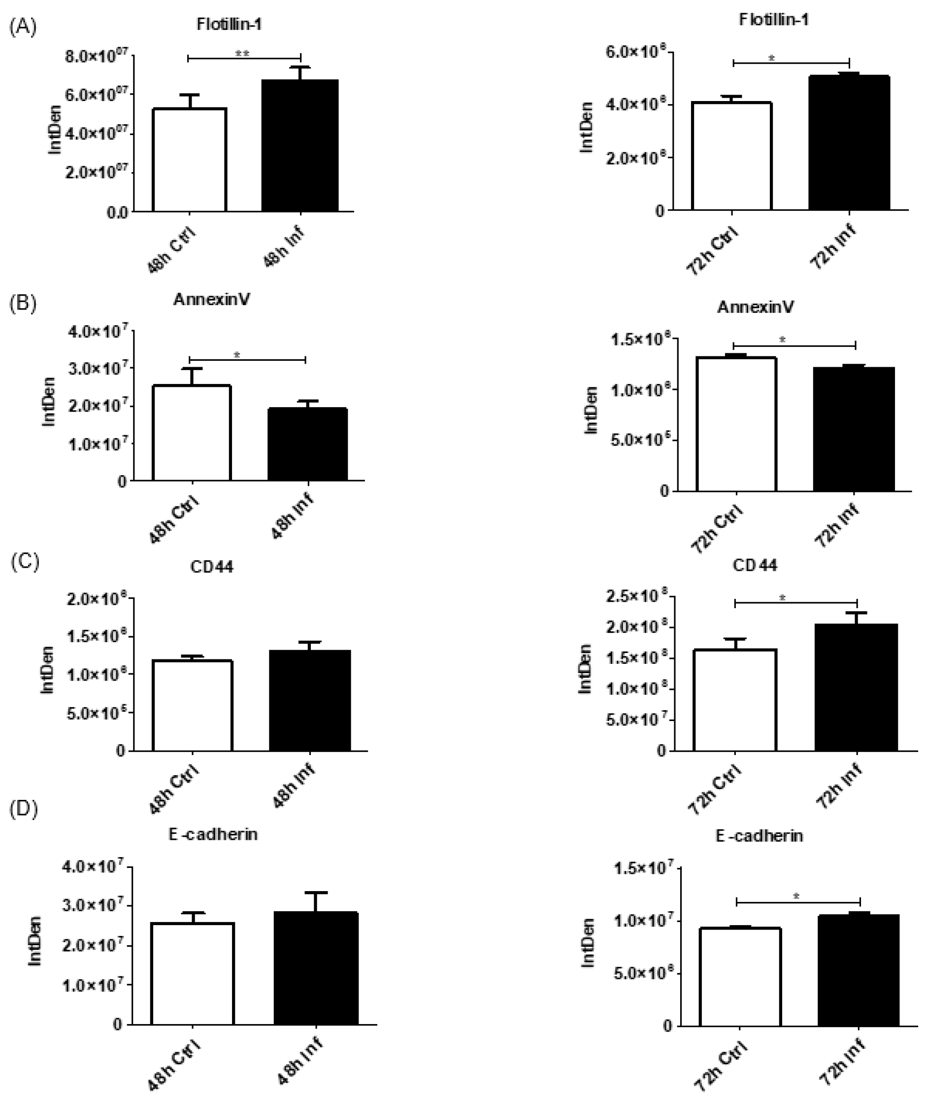 Biomedicines 11 00976 g004