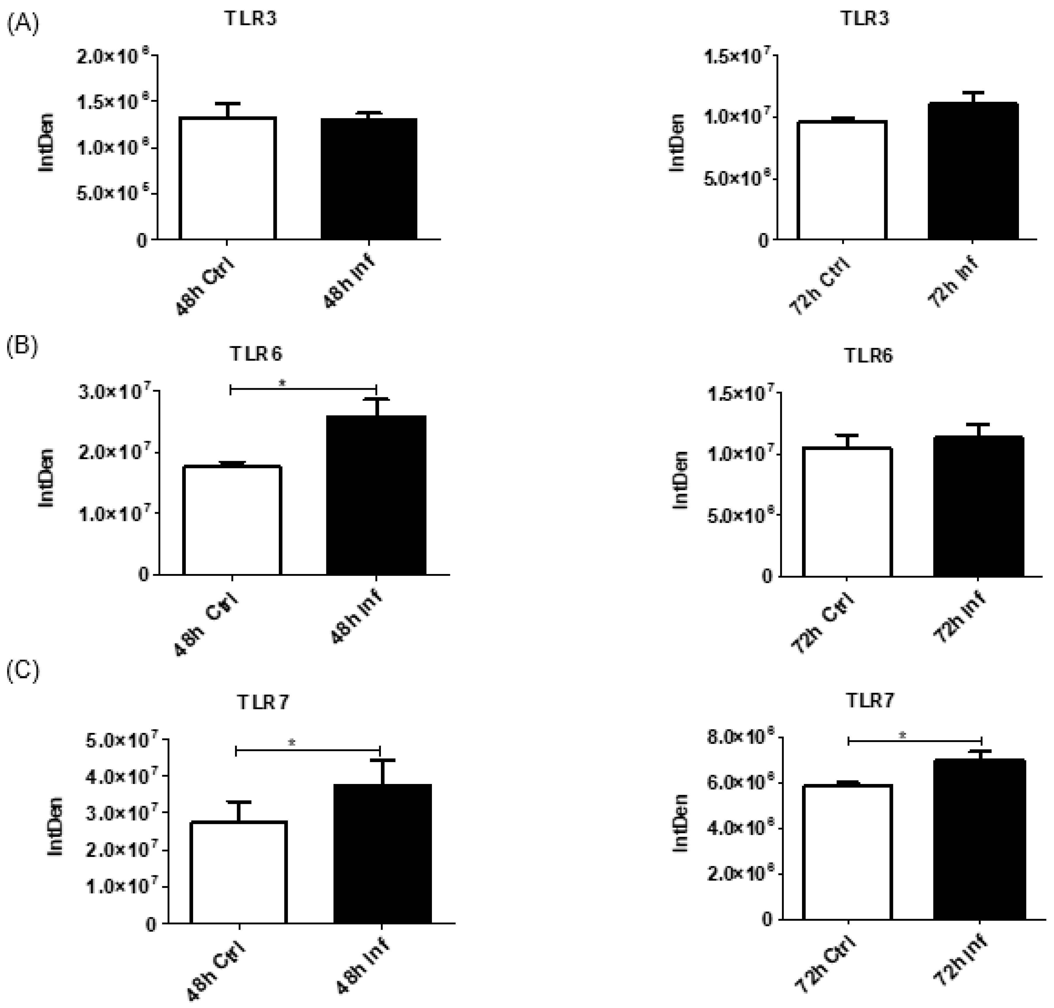 Biomedicines 11 00976 g005