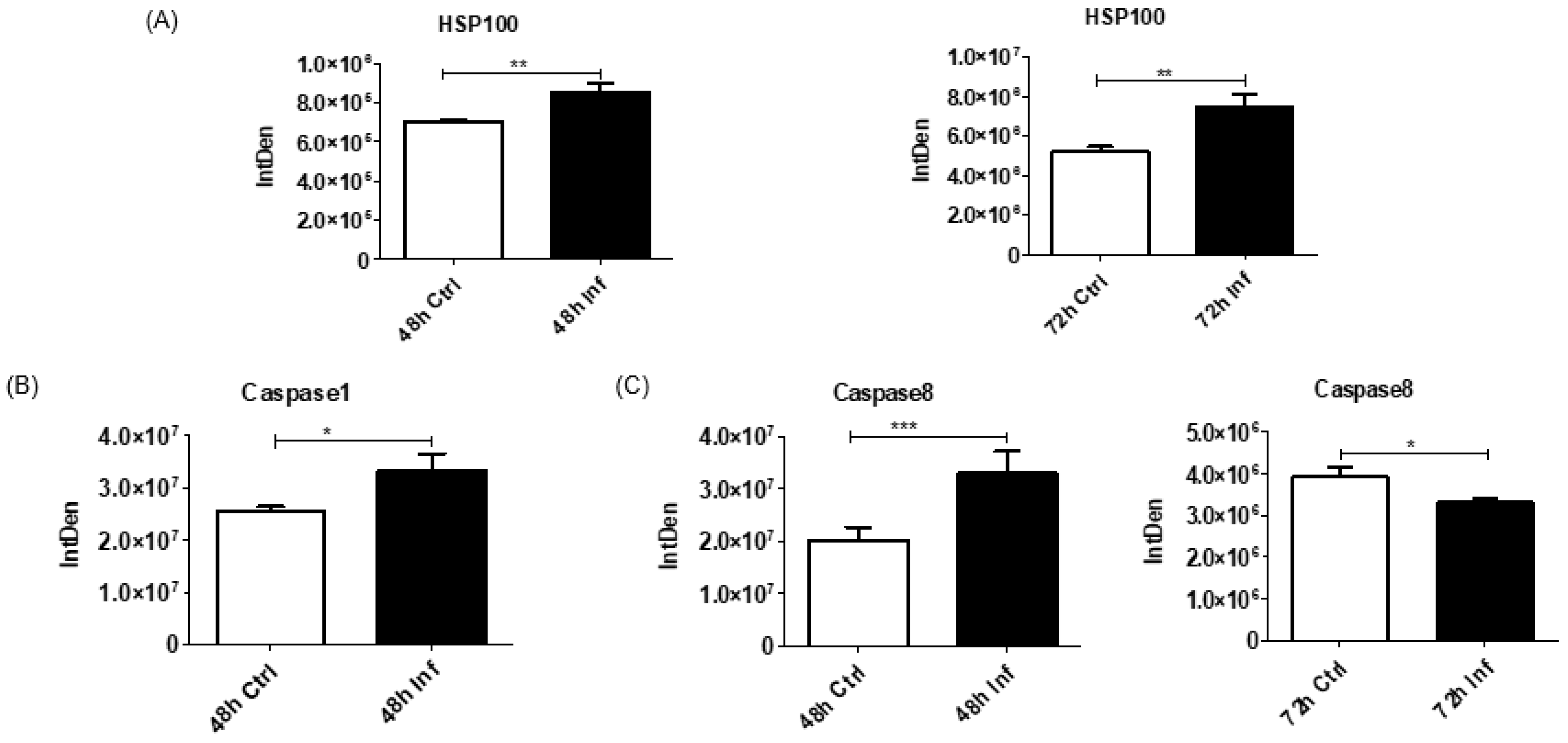 Biomedicines 11 00976 g006