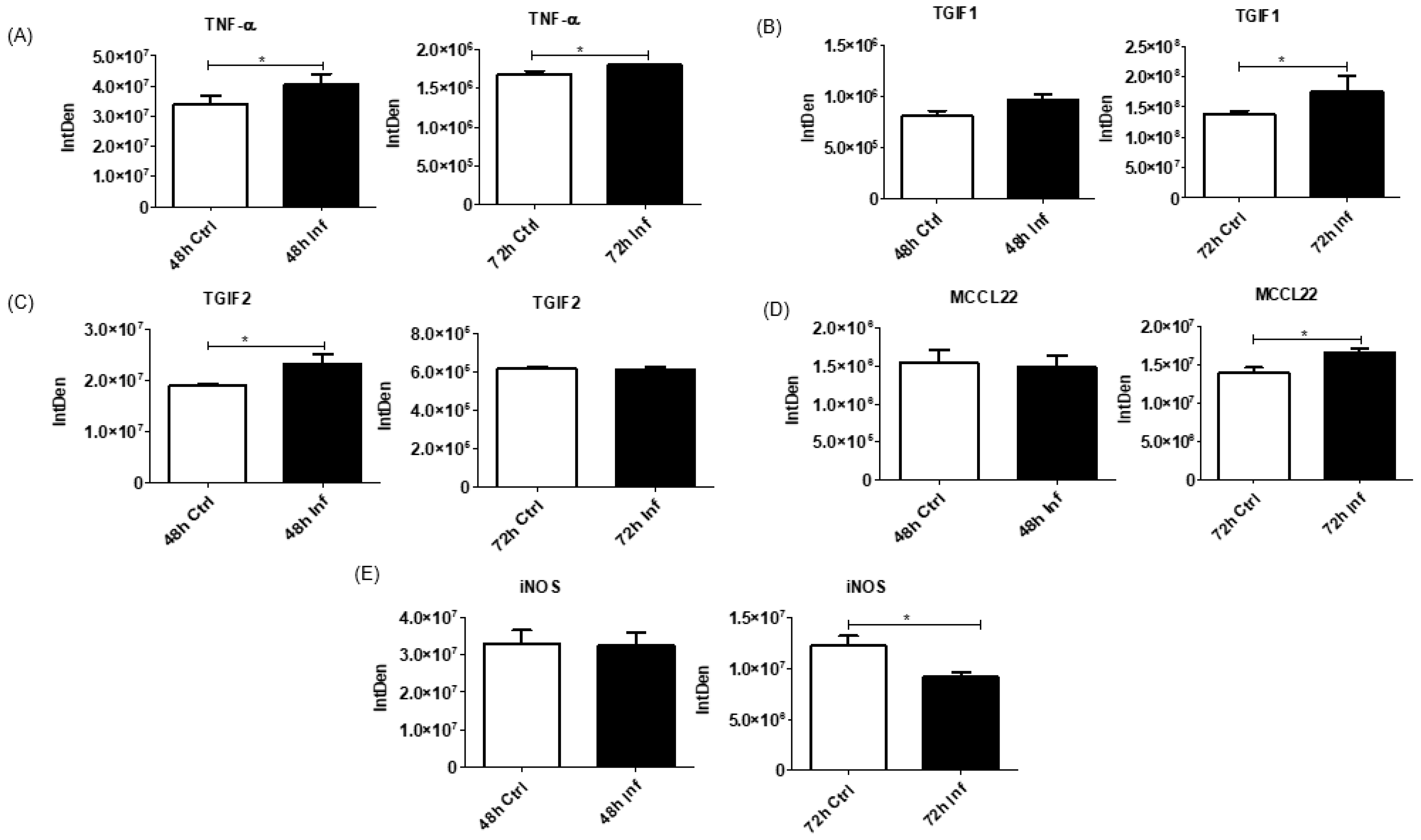 Biomedicines 11 00976 g007