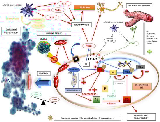 Biomedicines 11 00978 g001