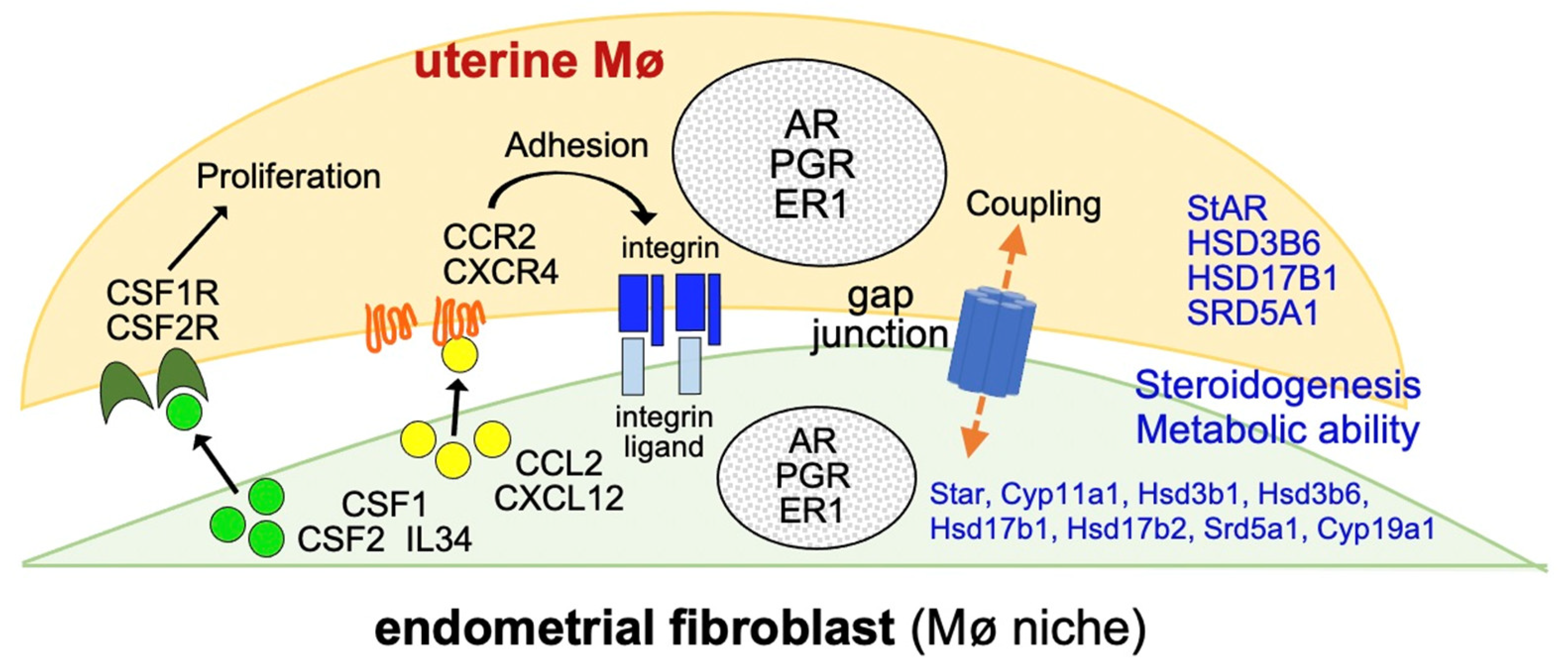 Biomedicines 11 00985 g009