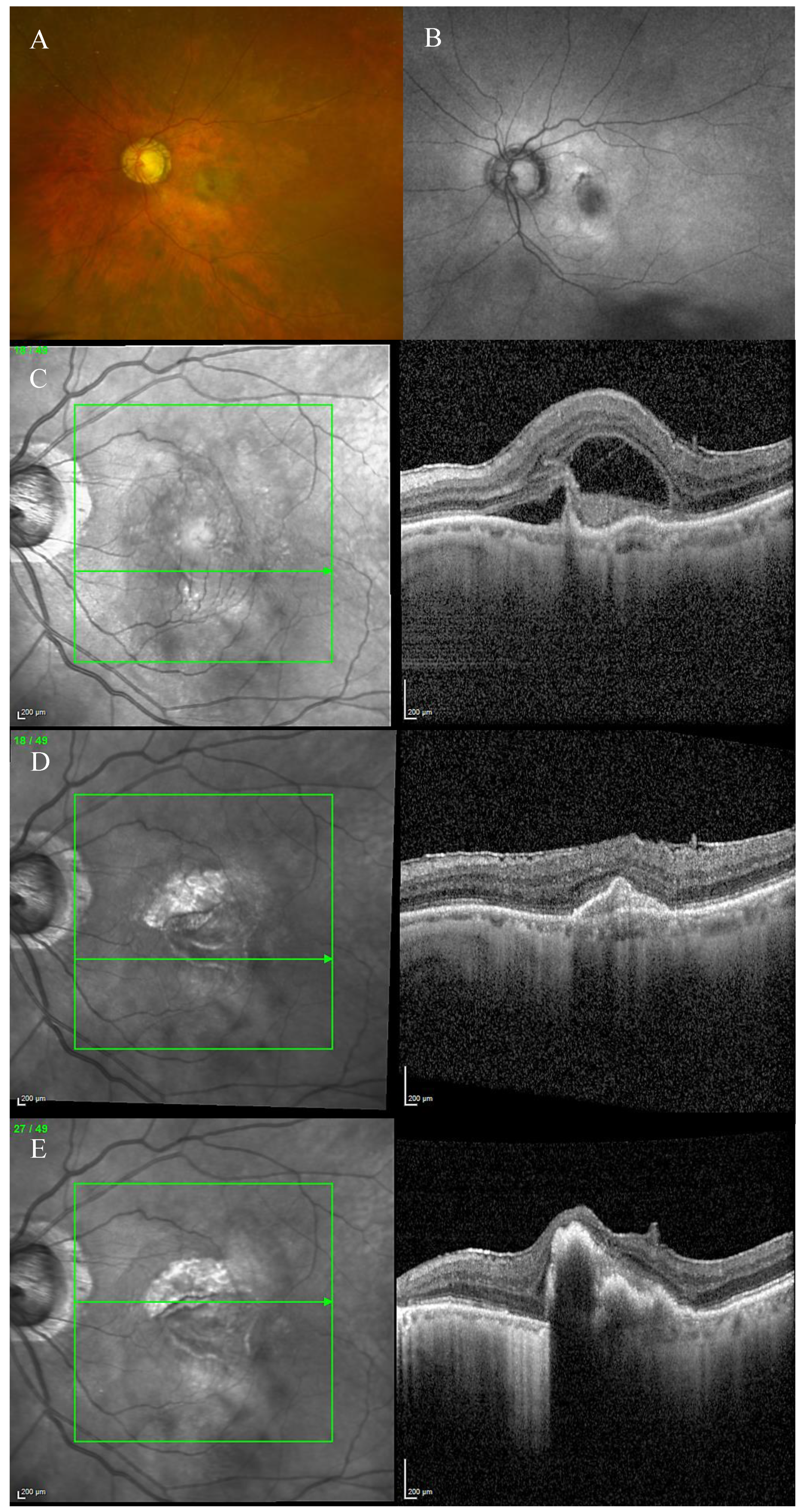 Biomedicines 11 00988 g001