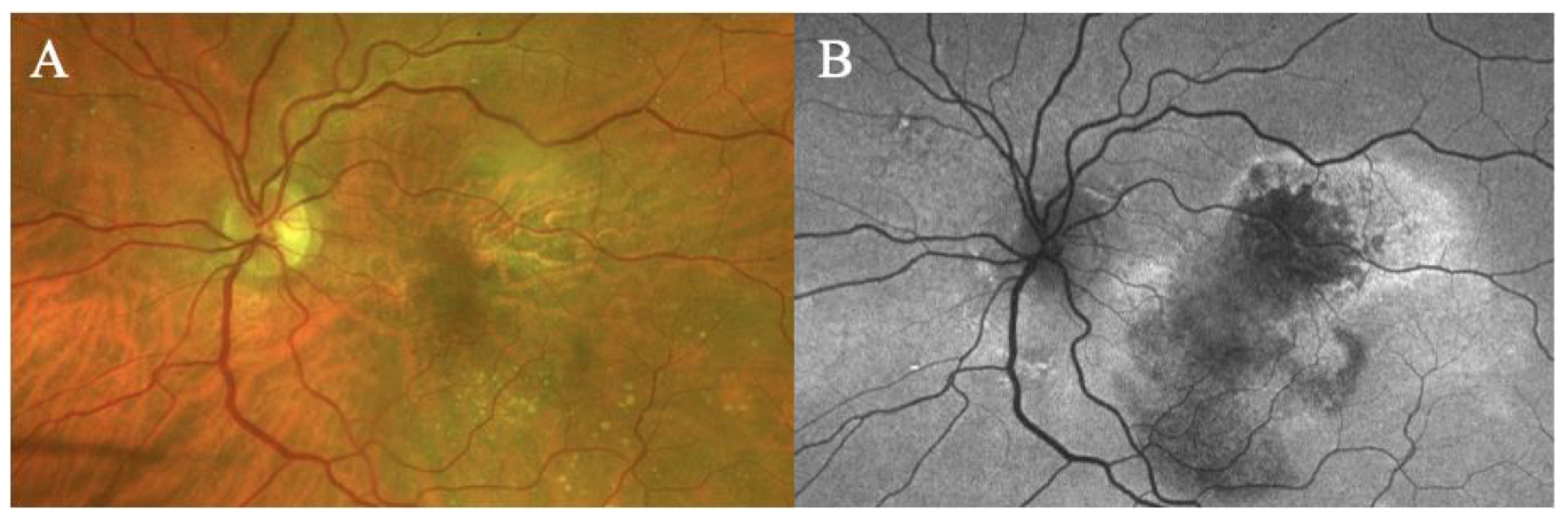 Biomedicines 11 00988 g010