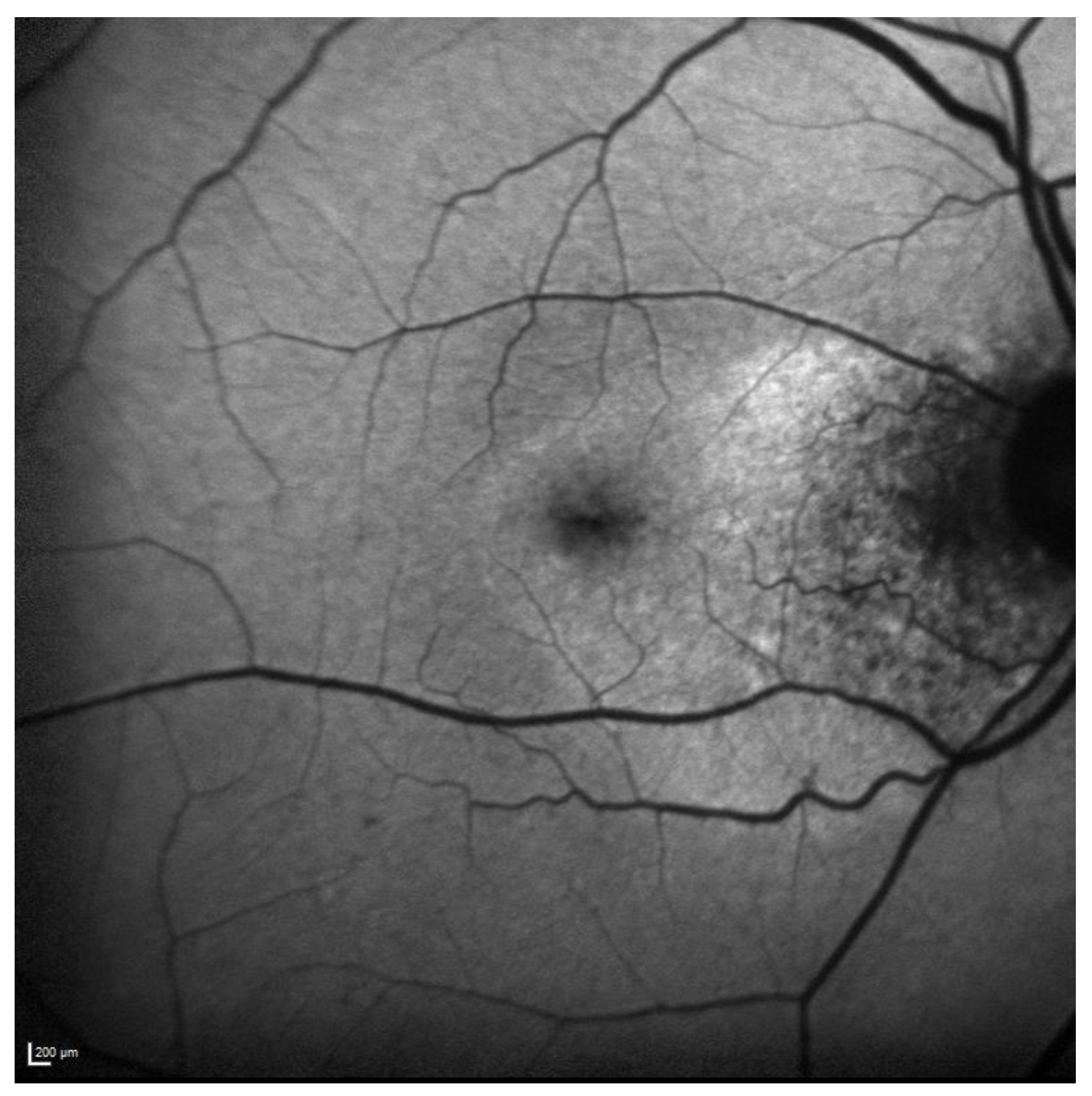 Biomedicines 11 00988 g011