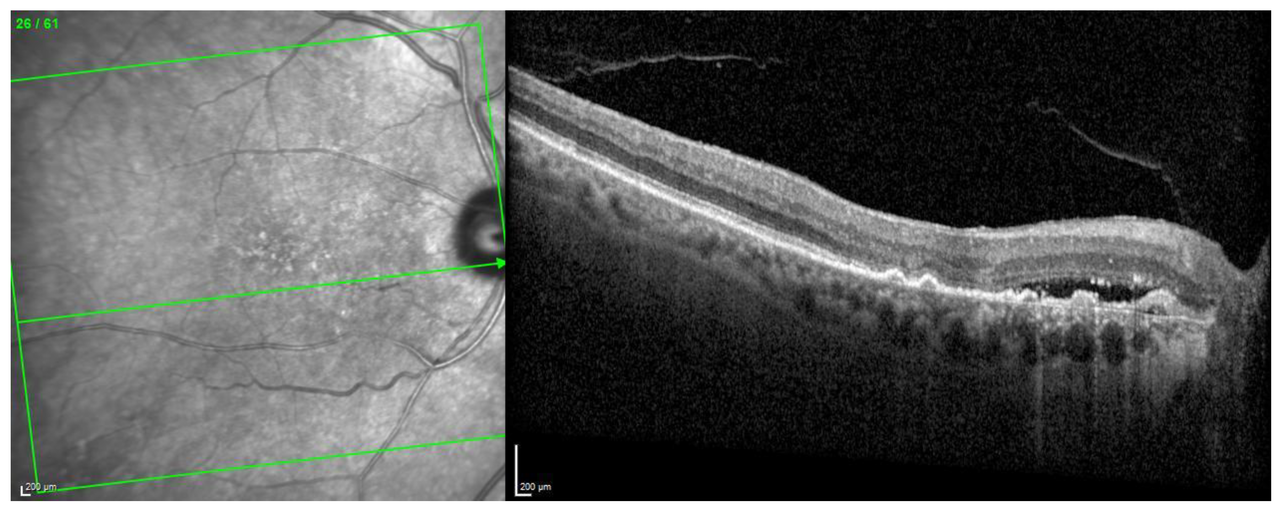 Biomedicines 11 00988 g012