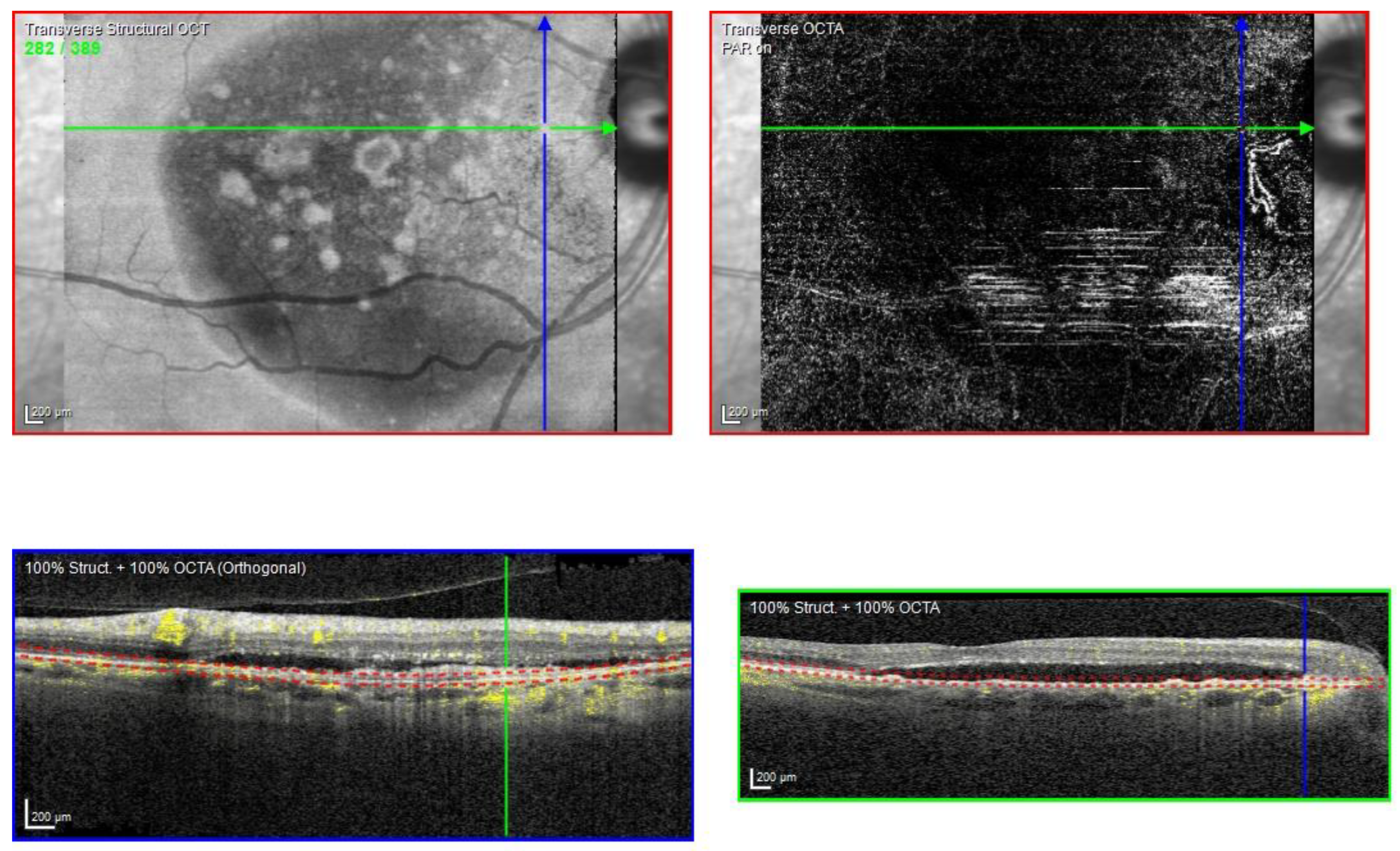 Biomedicines 11 00988 g013