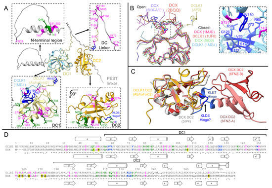 Biomedicines 11 00990 g003