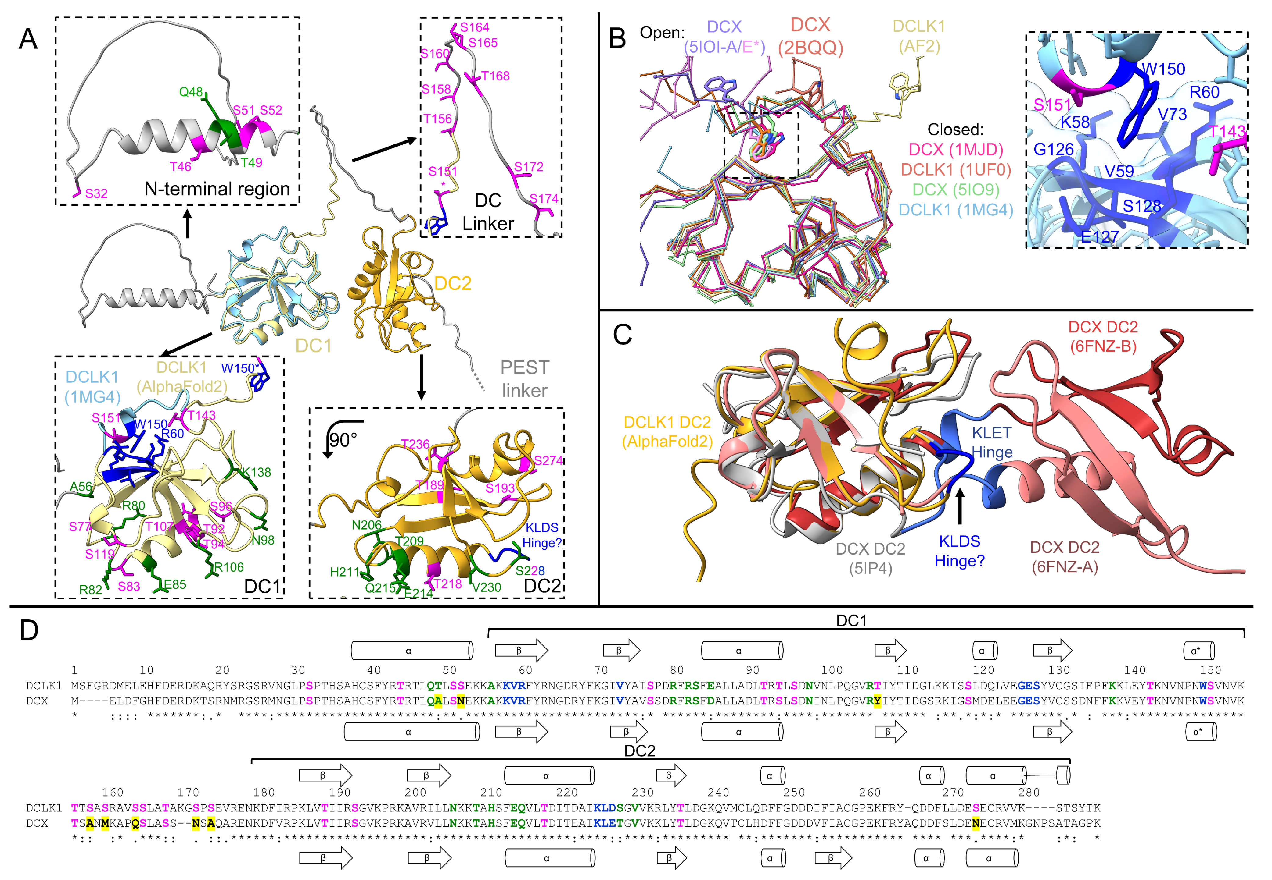 Biomedicines 11 00990 g003