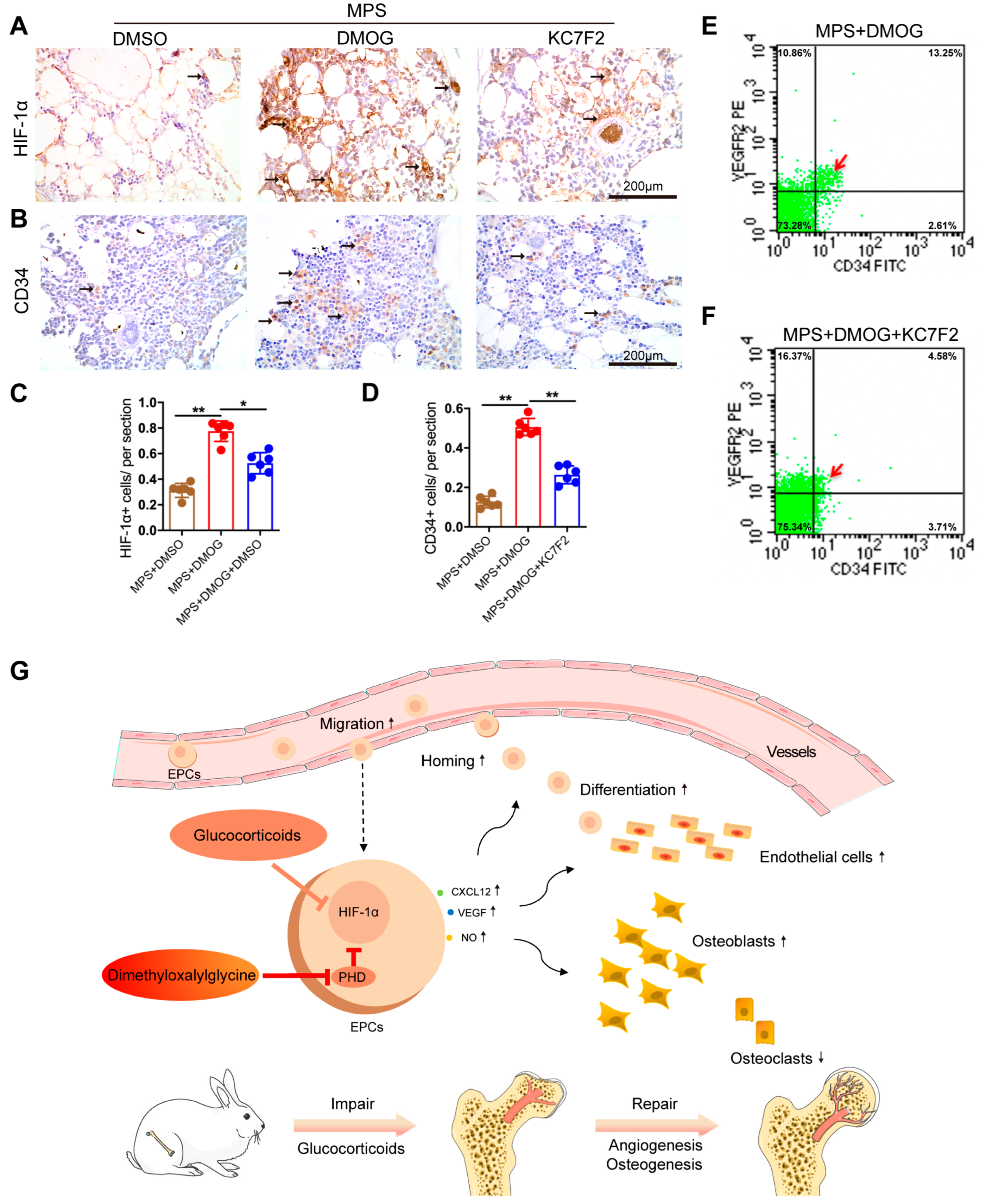 Biomedicines 11 00992 g006