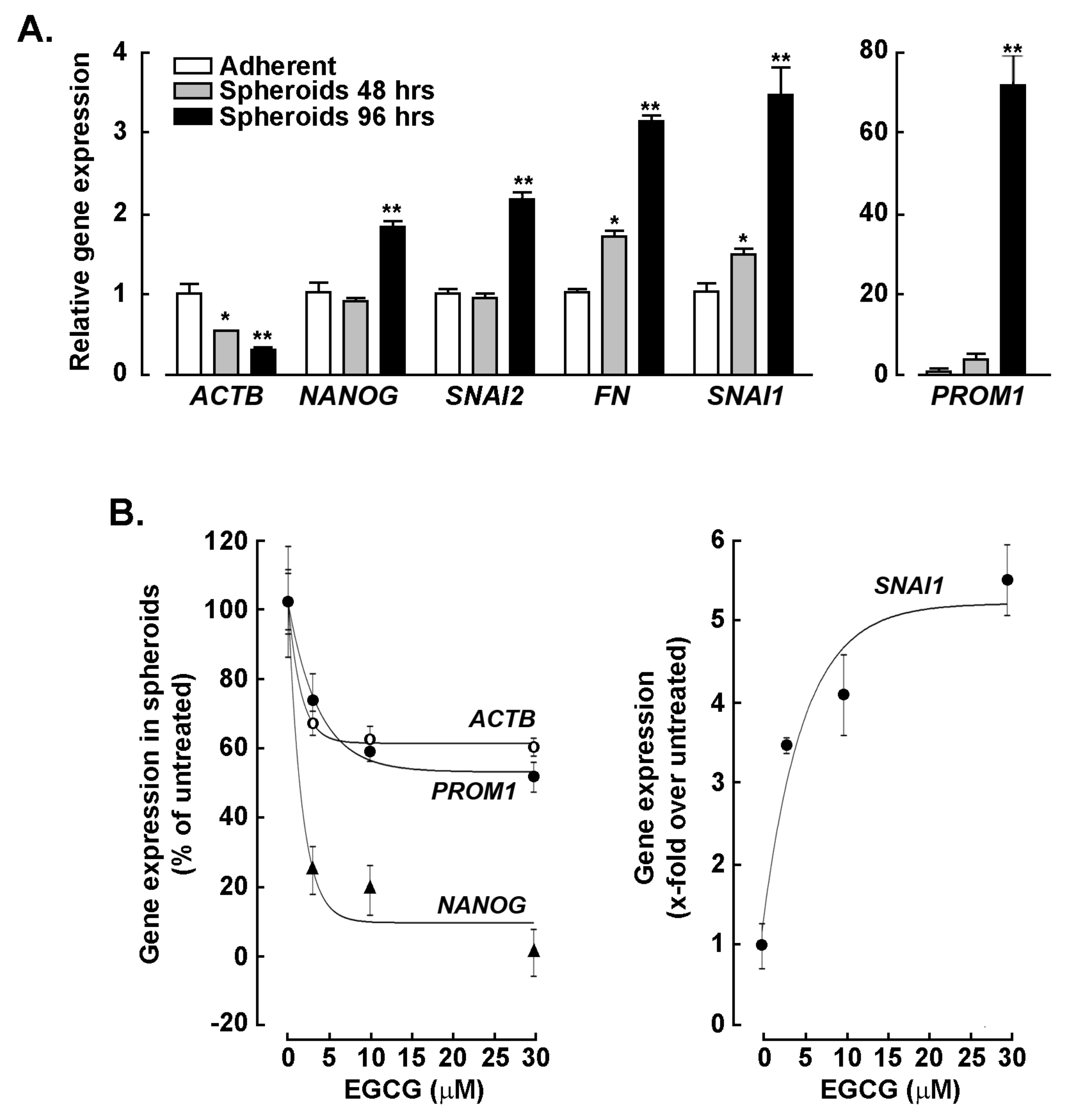 Biomedicines 11 01000 g002