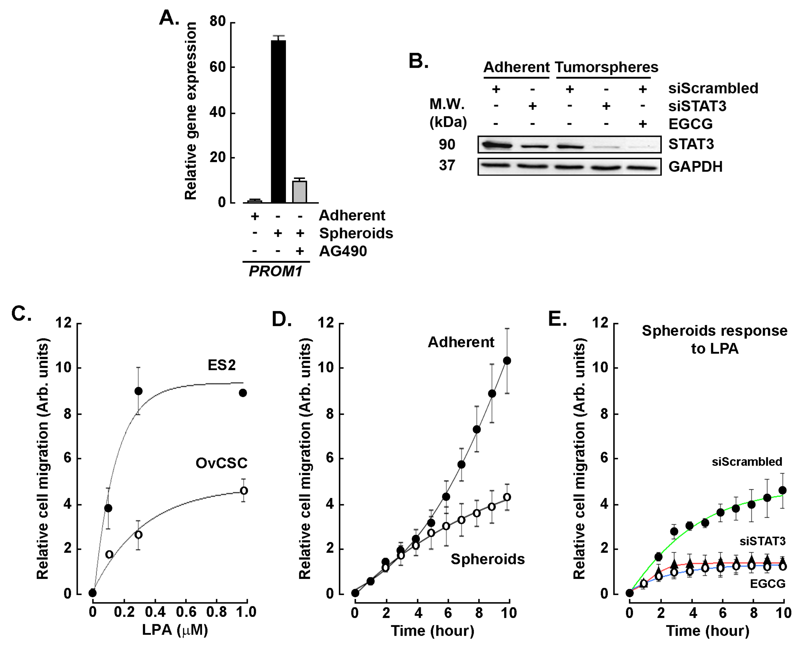 Biomedicines 11 01000 g006