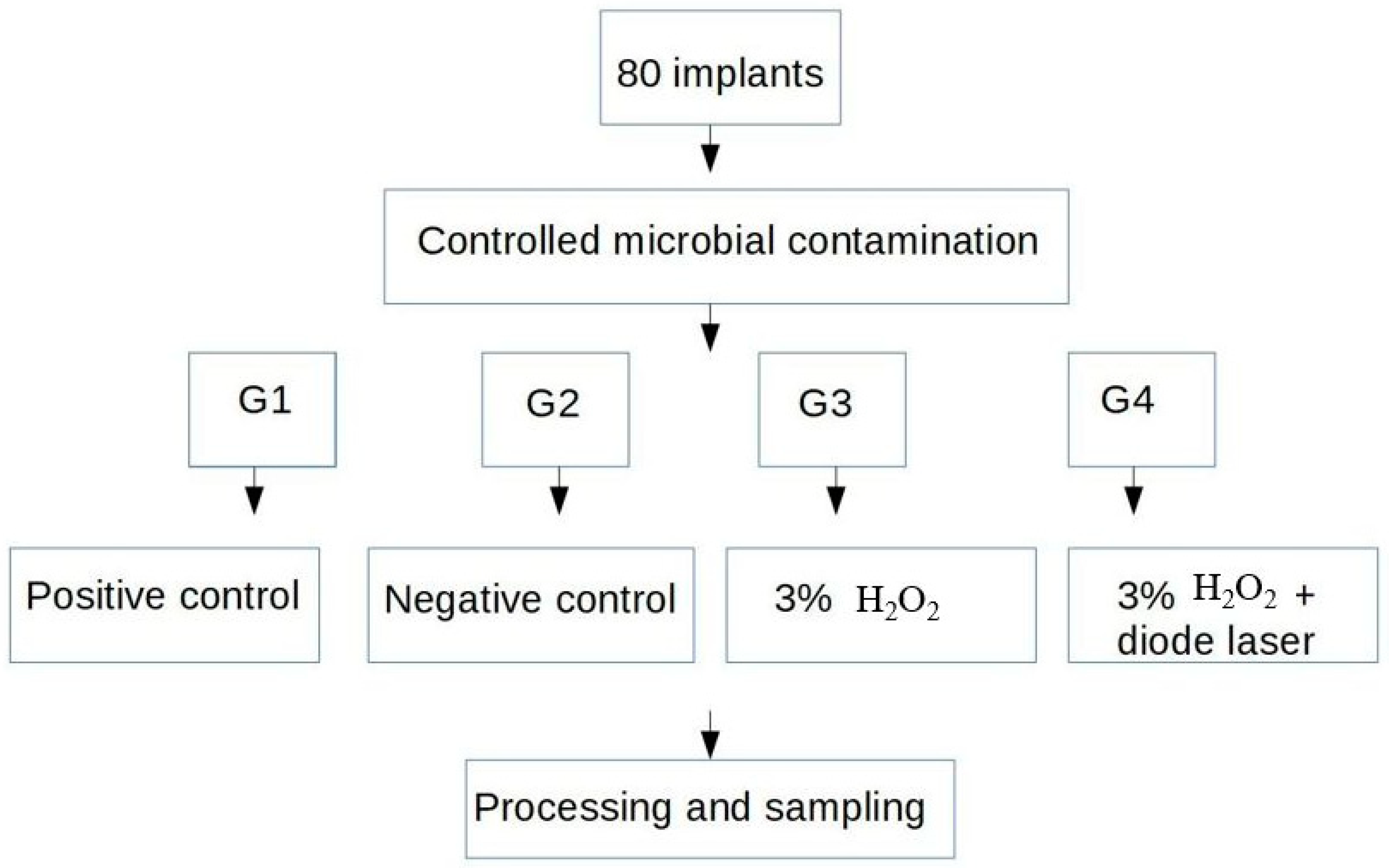 Biomedicines 11 01002 g001