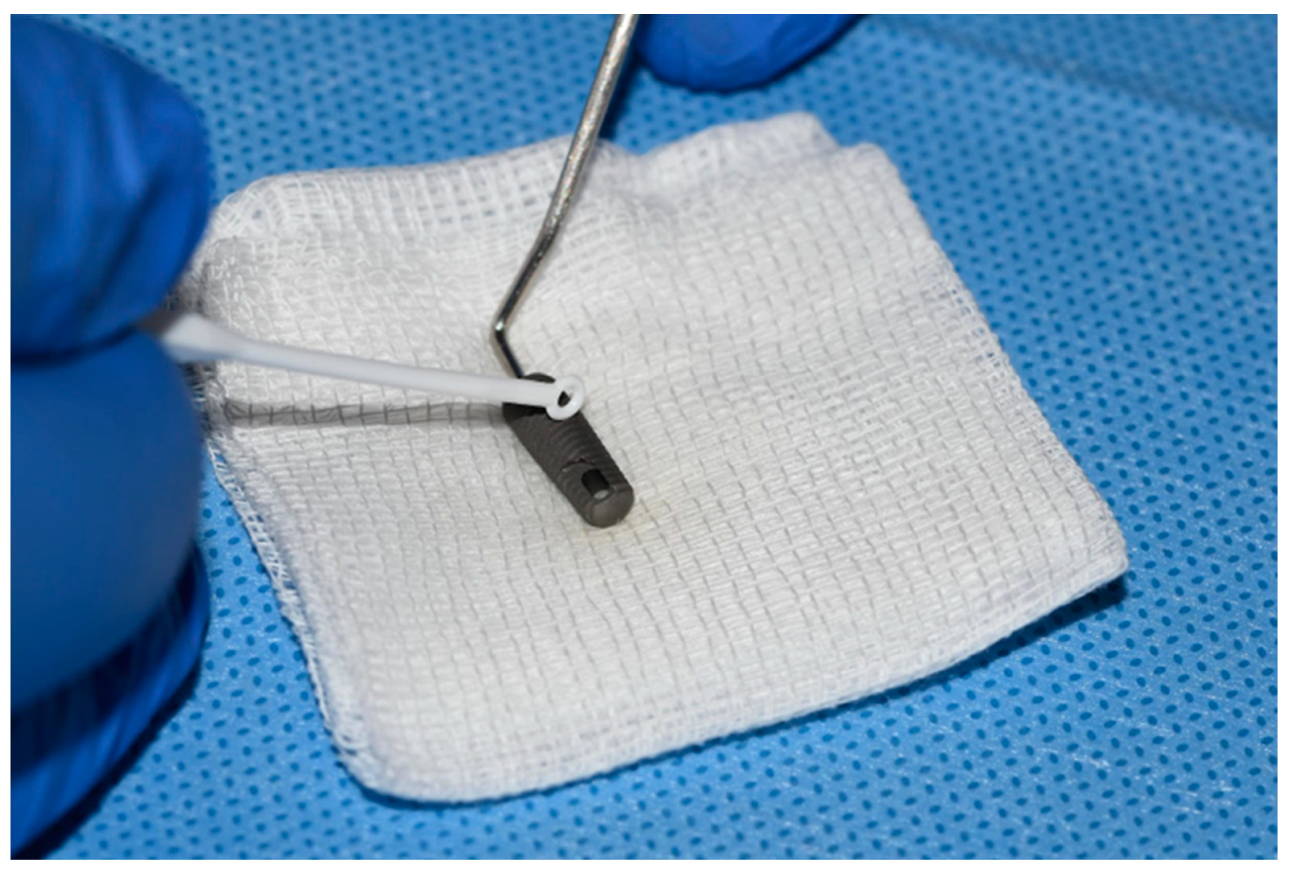 Biomedicines 11 01002 g003