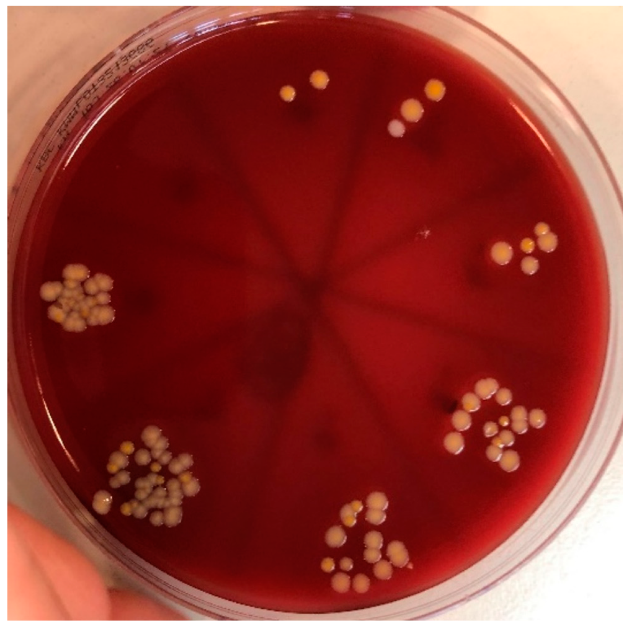 Biomedicines 11 01002 g005