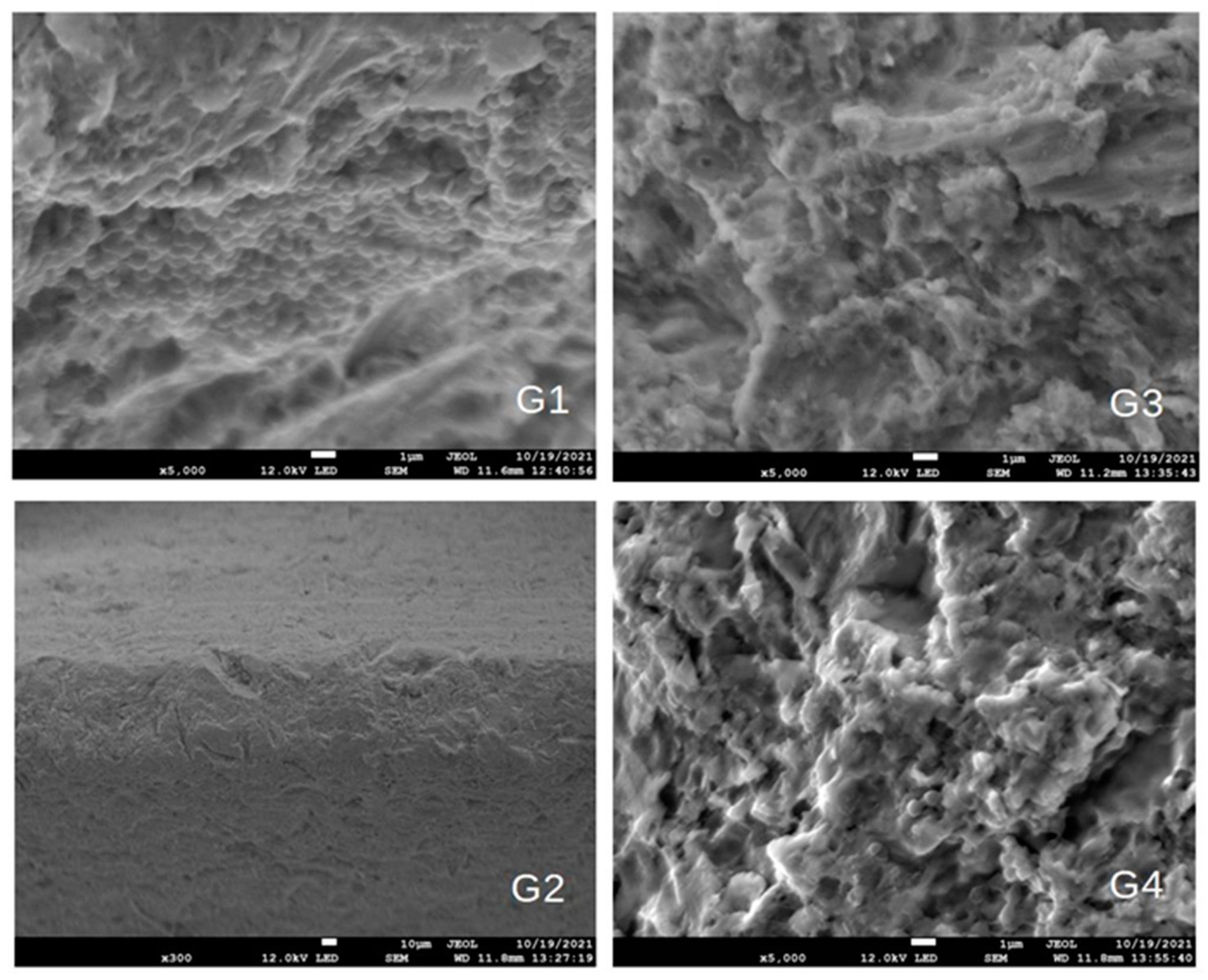 Biomedicines 11 01002 g006