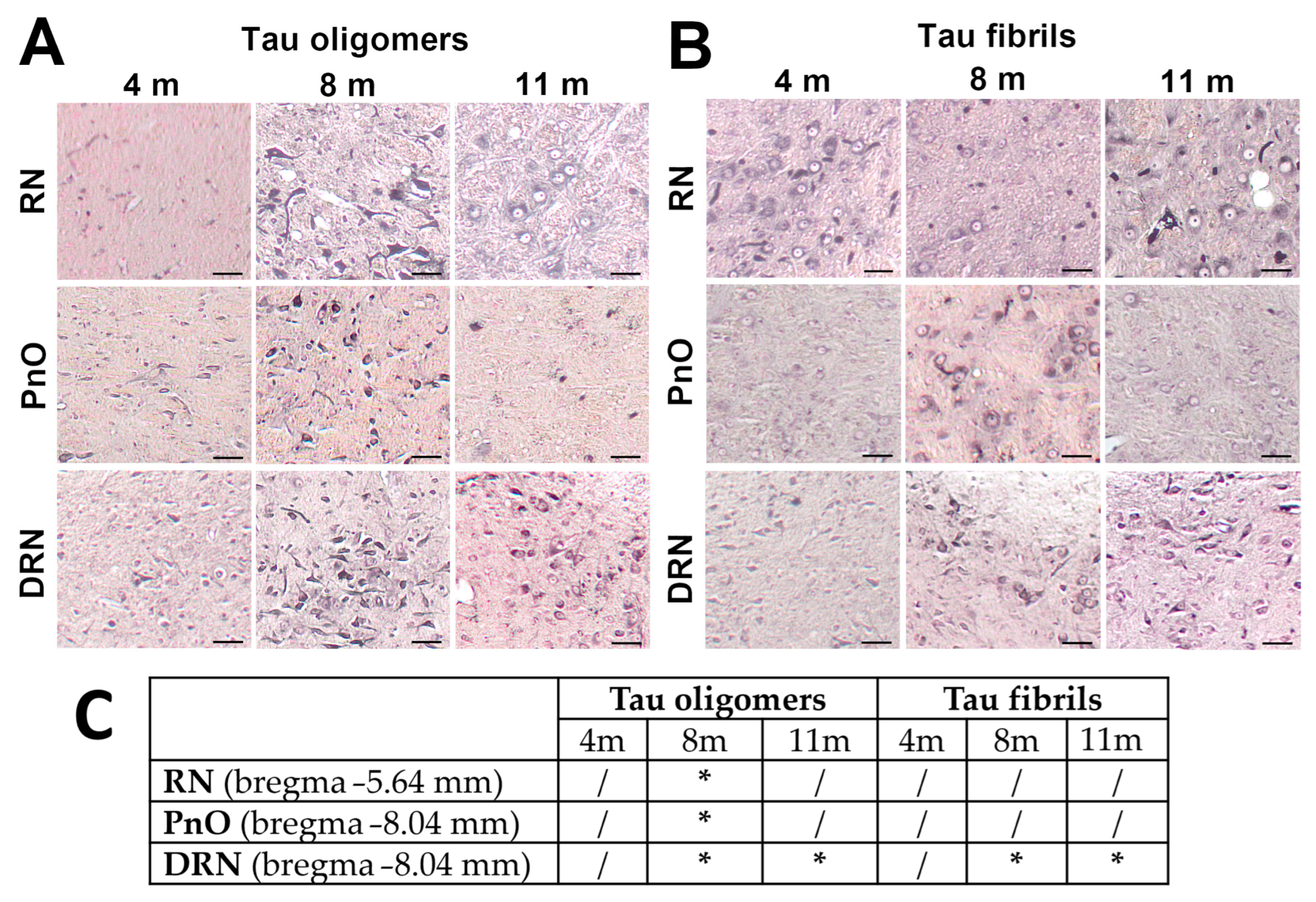 Biomedicines 11 01004 g002