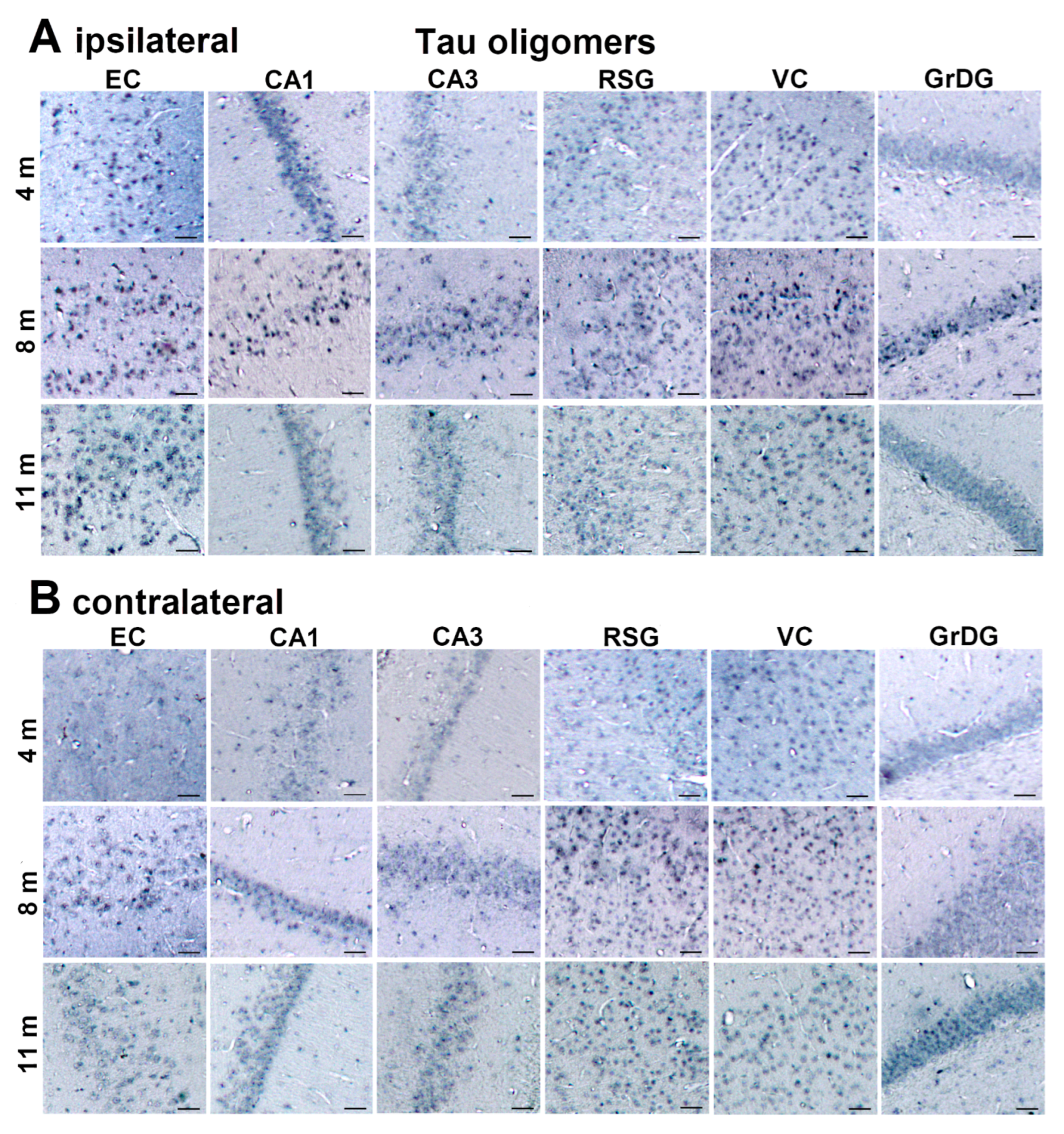 Biomedicines 11 01004 g009a