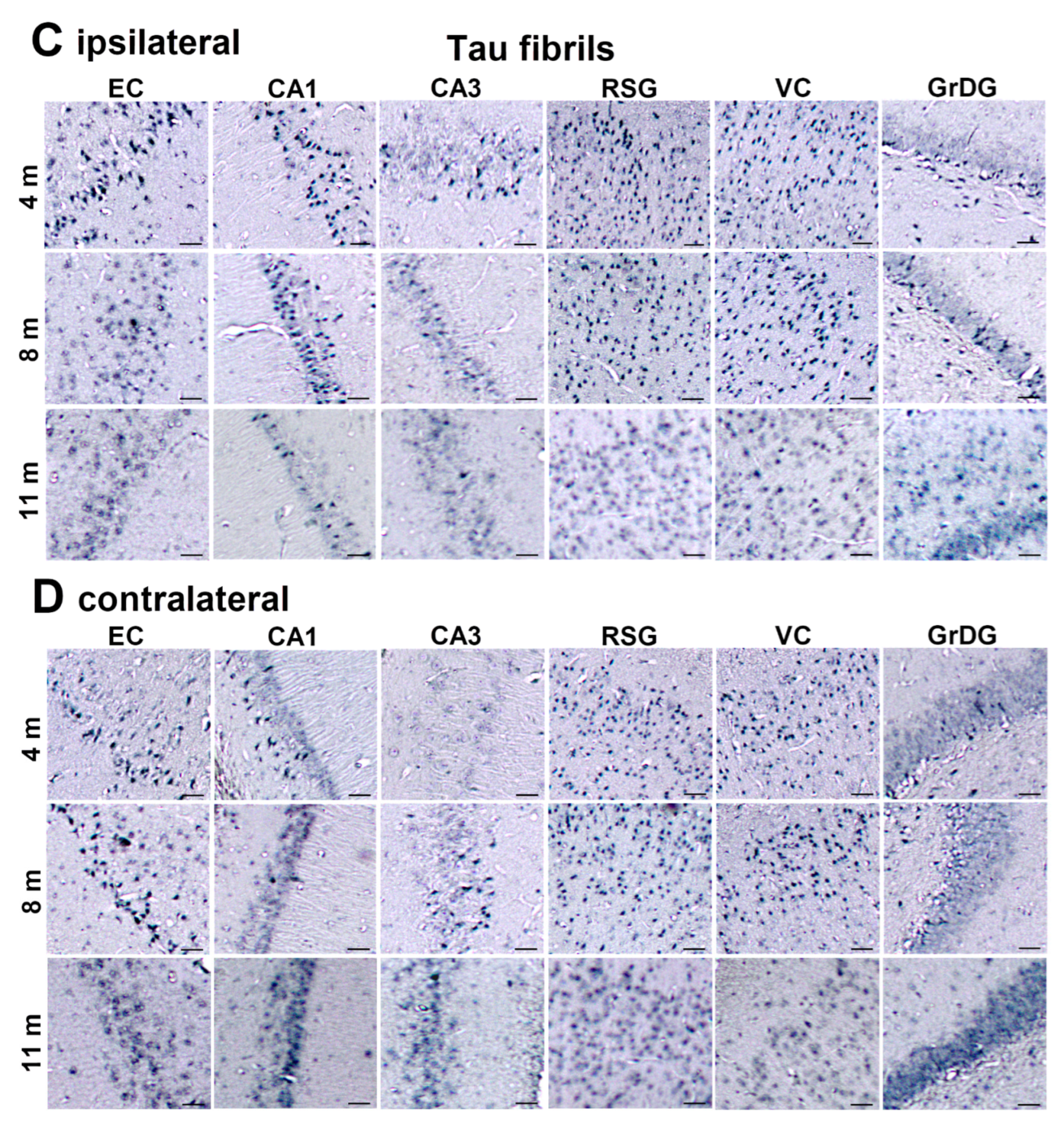 Biomedicines 11 01004 g009b